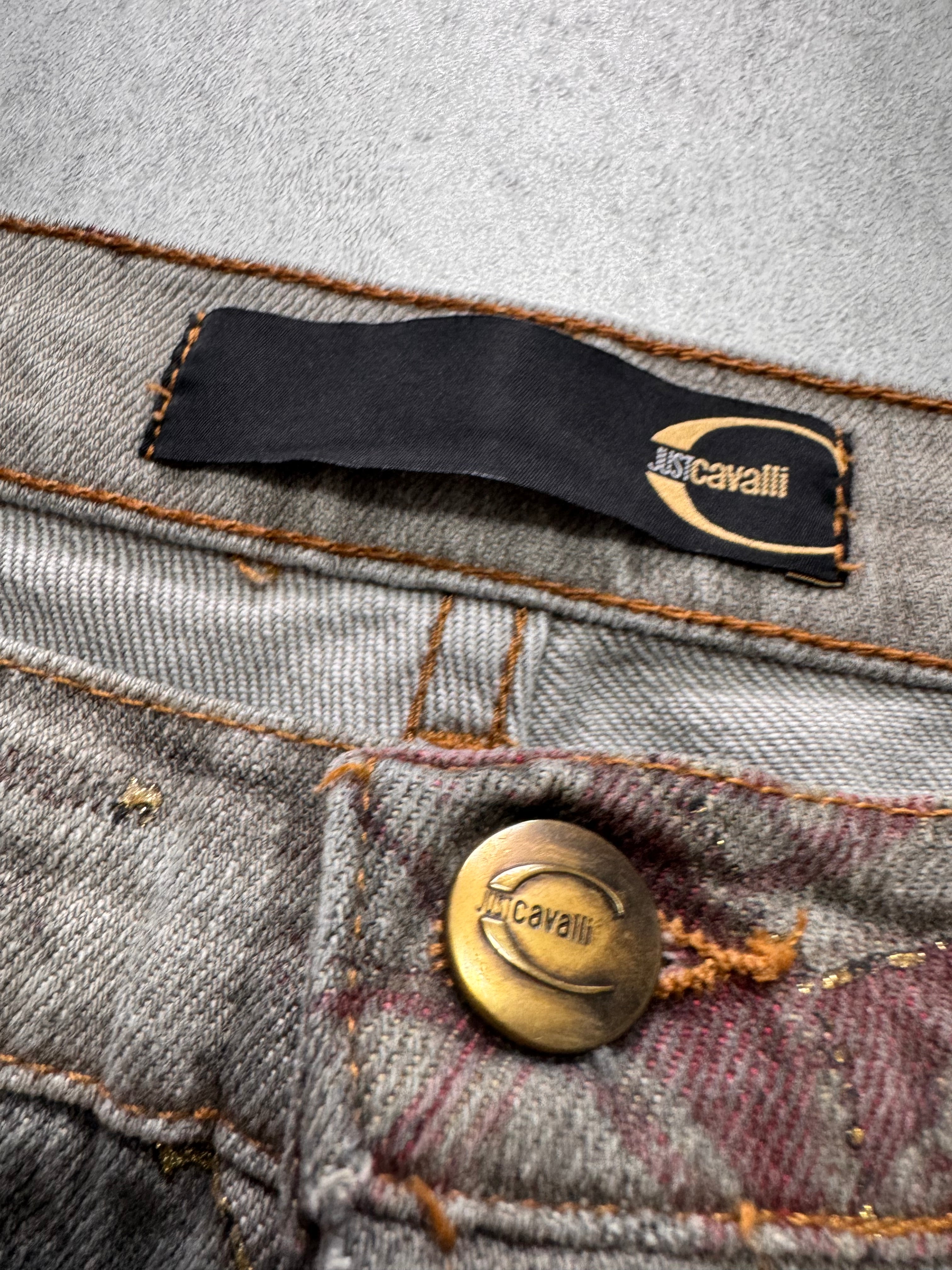 AW2003 Cavalli Asian World Grey Pants