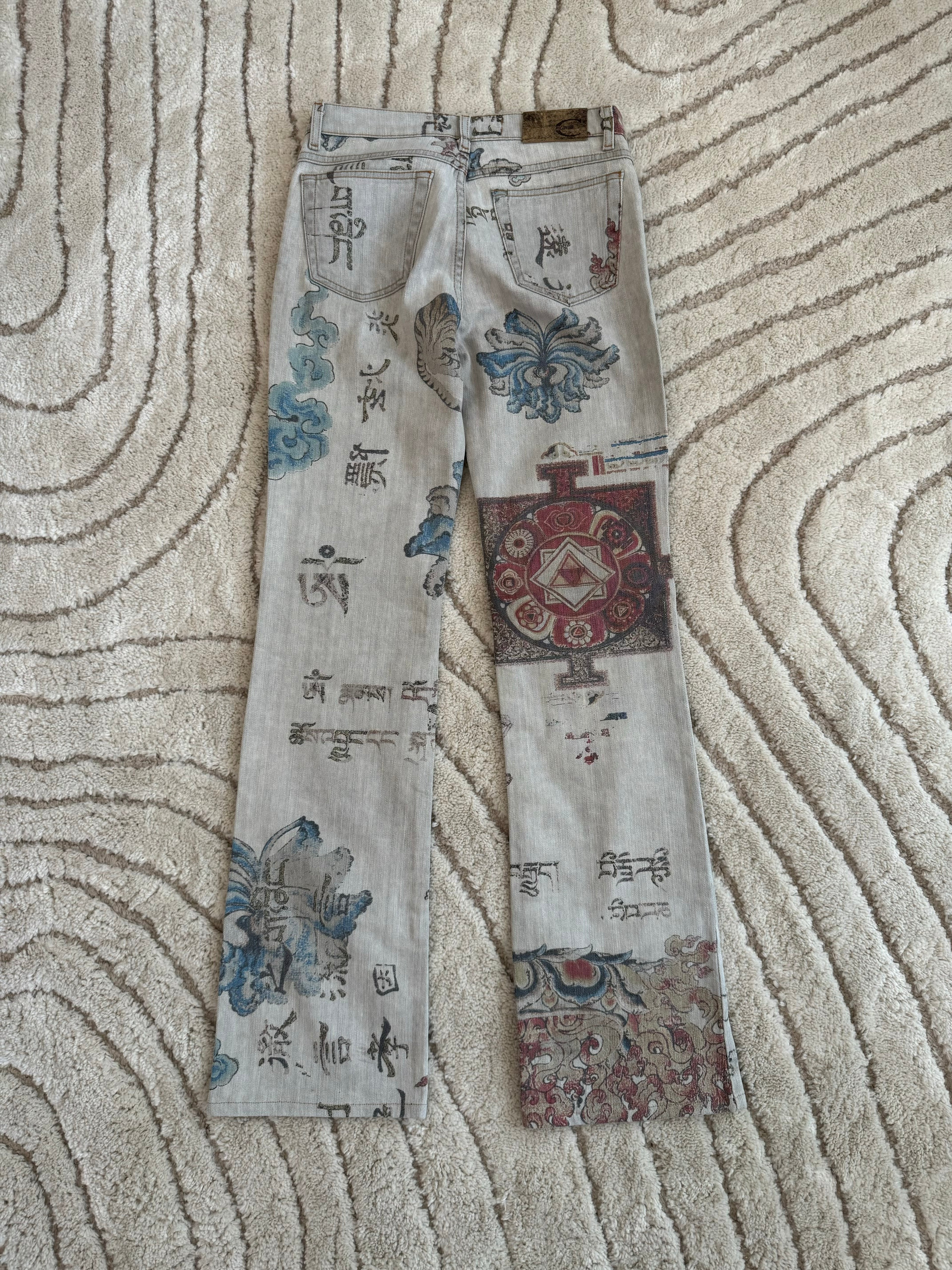 SS05 Cavalli Asian Fantasy Denim Pants (XS)
