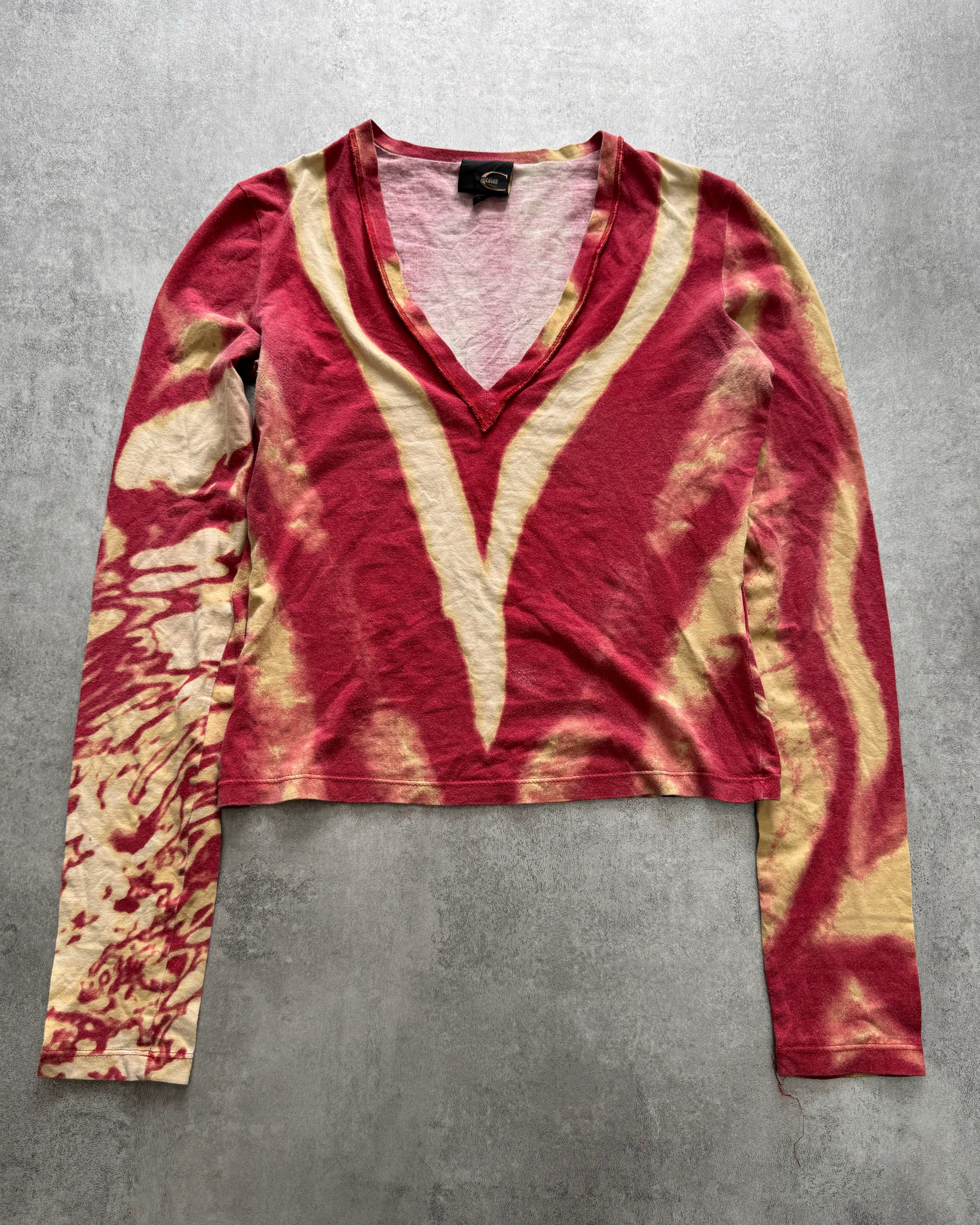 SS2002 Cavalli Zebra Hallucination Top