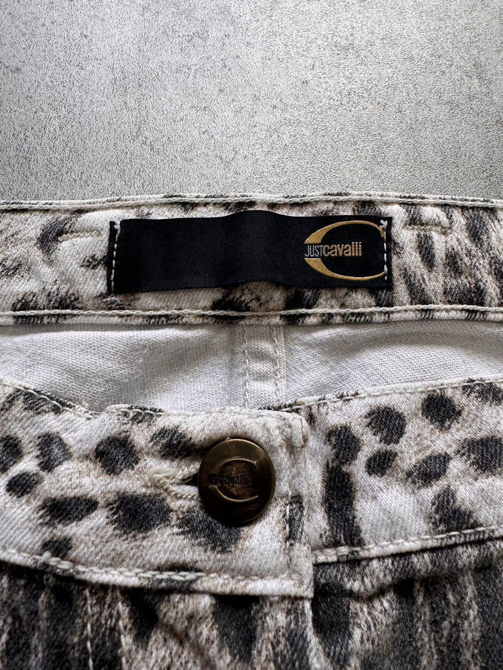 AW2005 Just Cavalli Cheetah Gradient Print