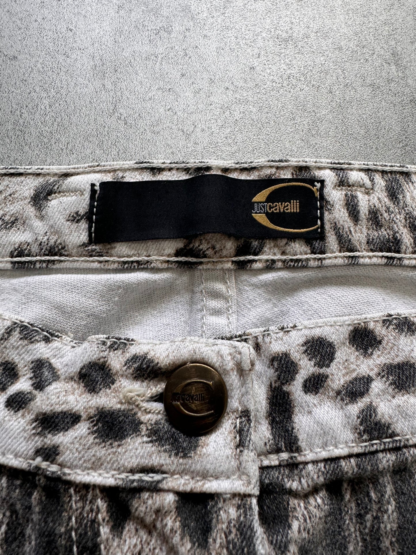 AW2005 Just Cavalli Cheetah Gradient Print (S/M)