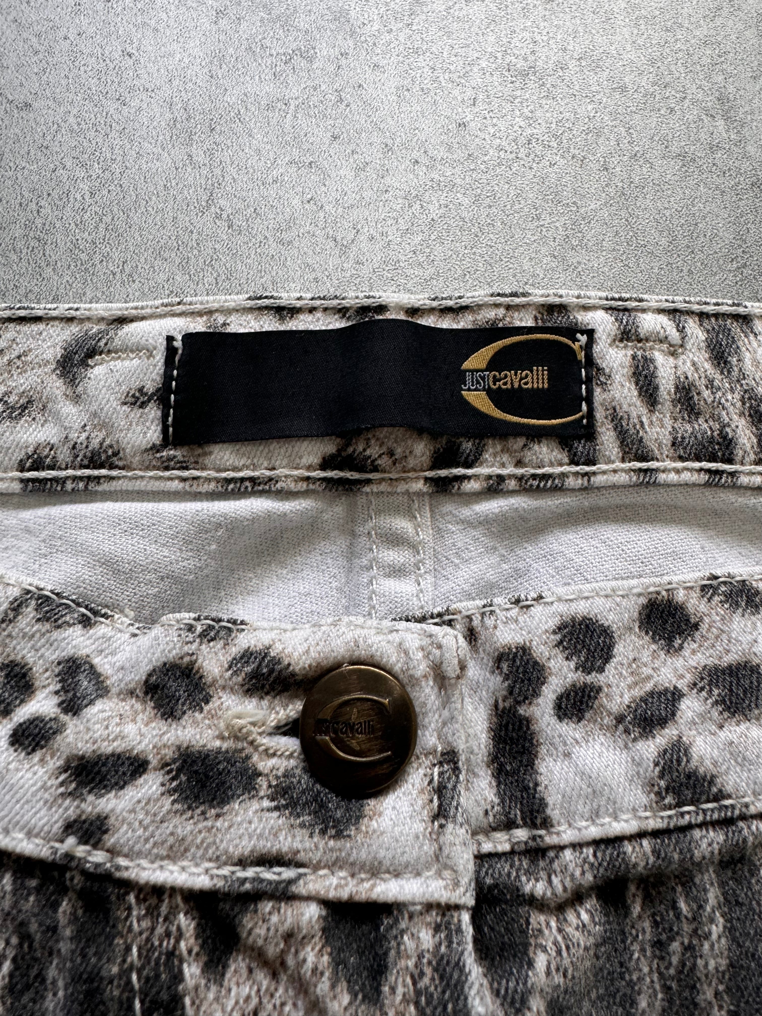 AW2005 Just Cavalli Cheetah Gradient Print