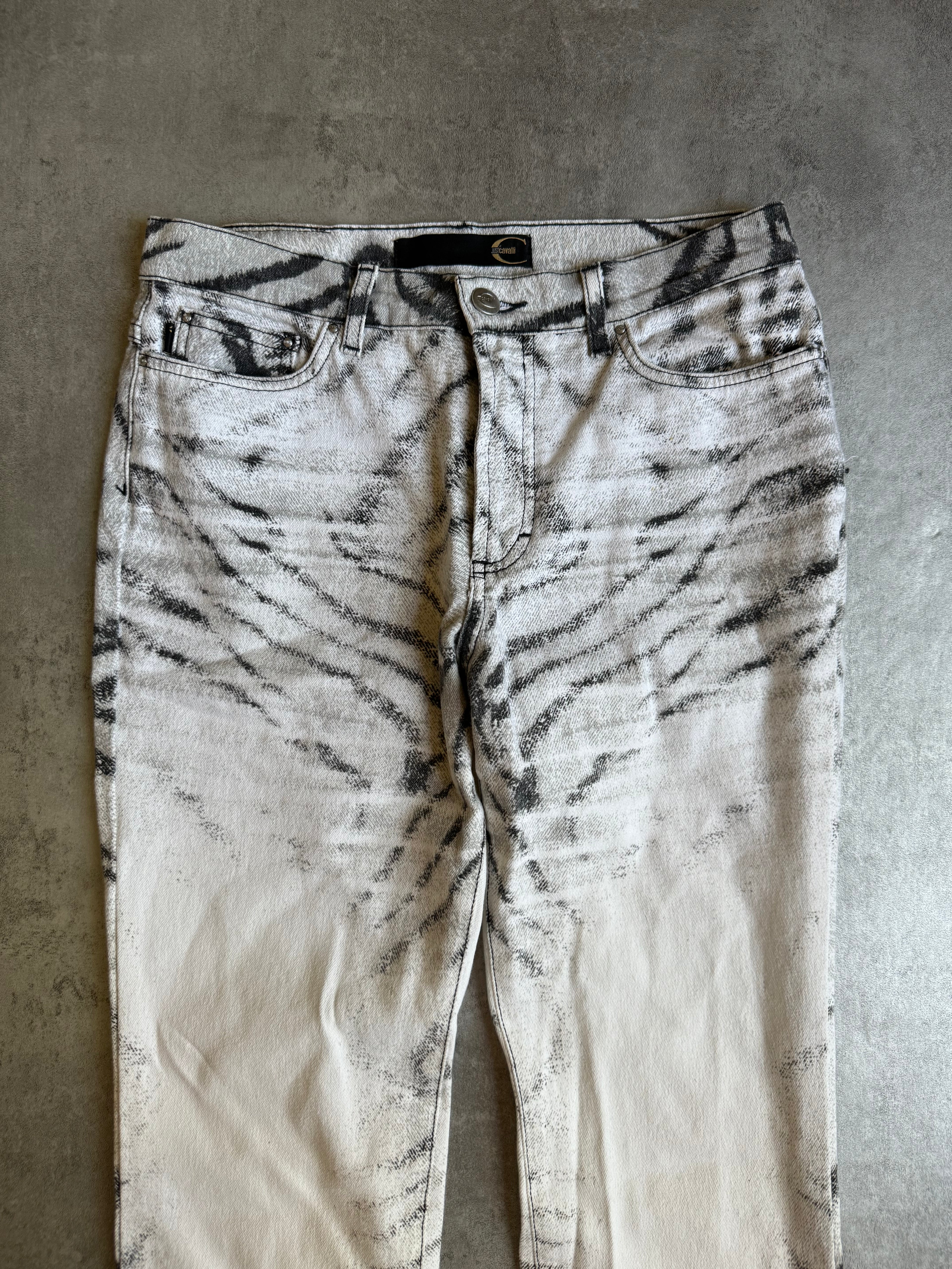 SS2002 Cavalli Zebra Savage Pants (XXS) - 7