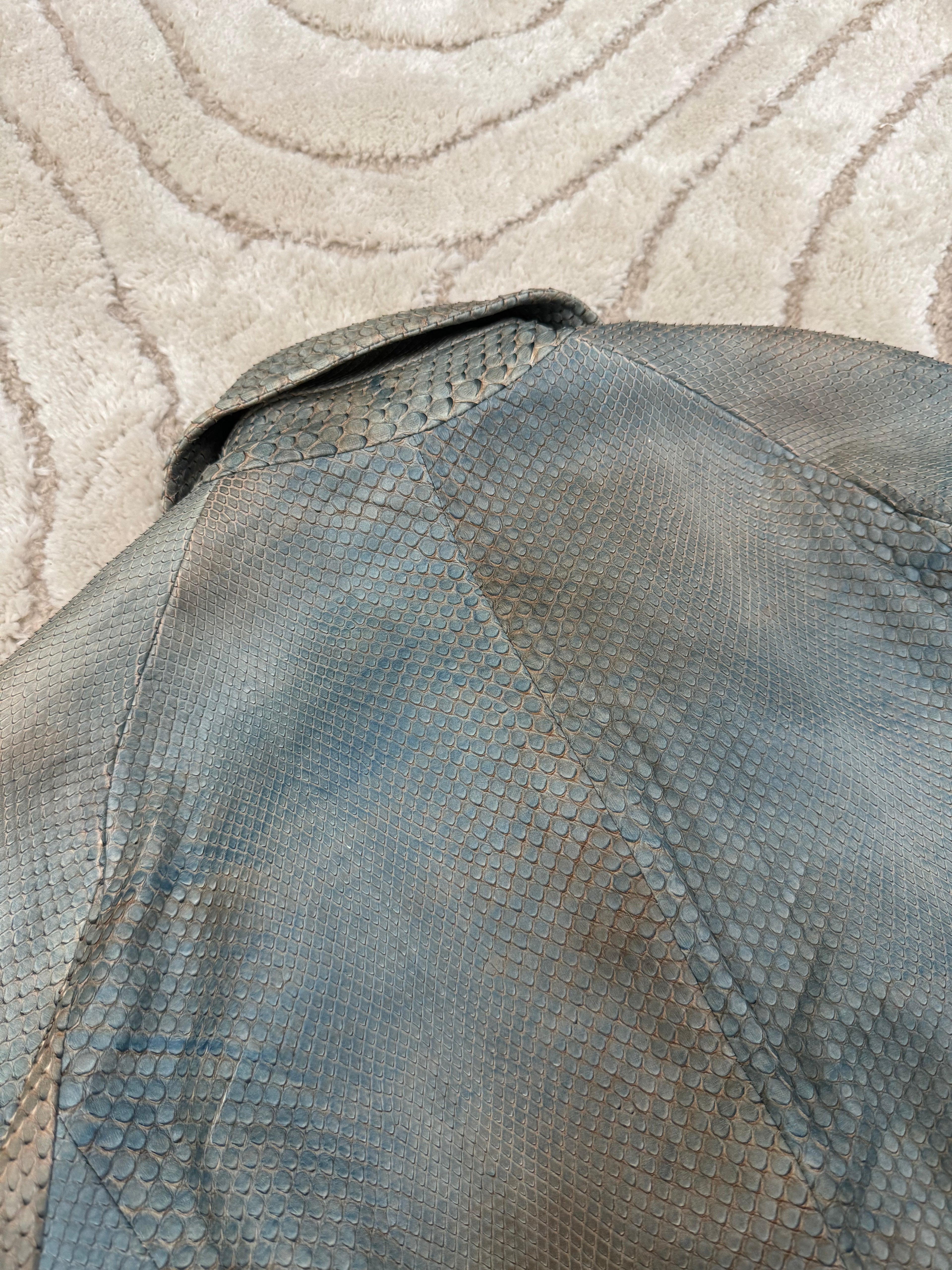 SS2011 Giorgio Armani Aurora Borealis Python Leather Jacket