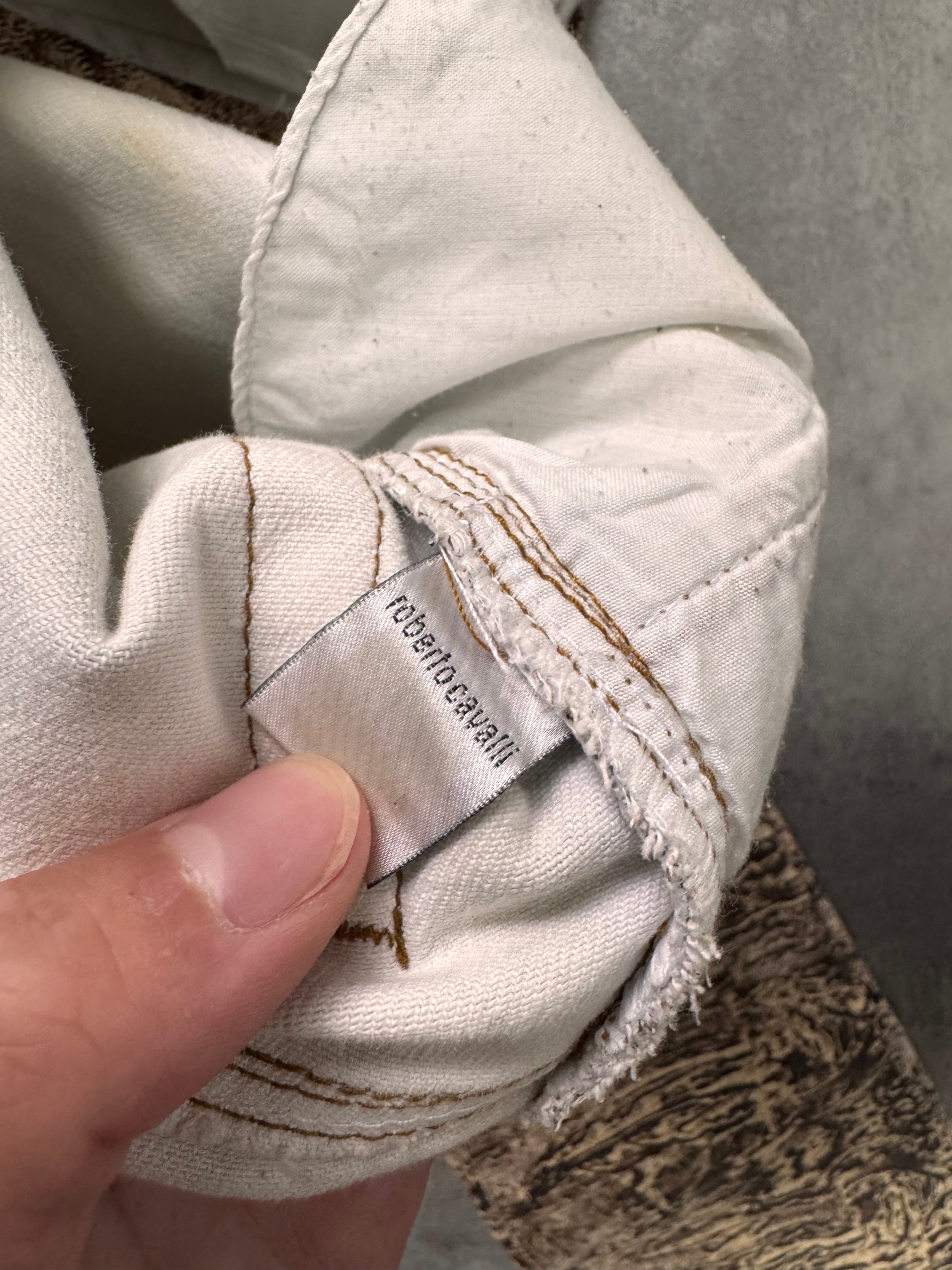 2000s Cavalli Sand Erosion Pants