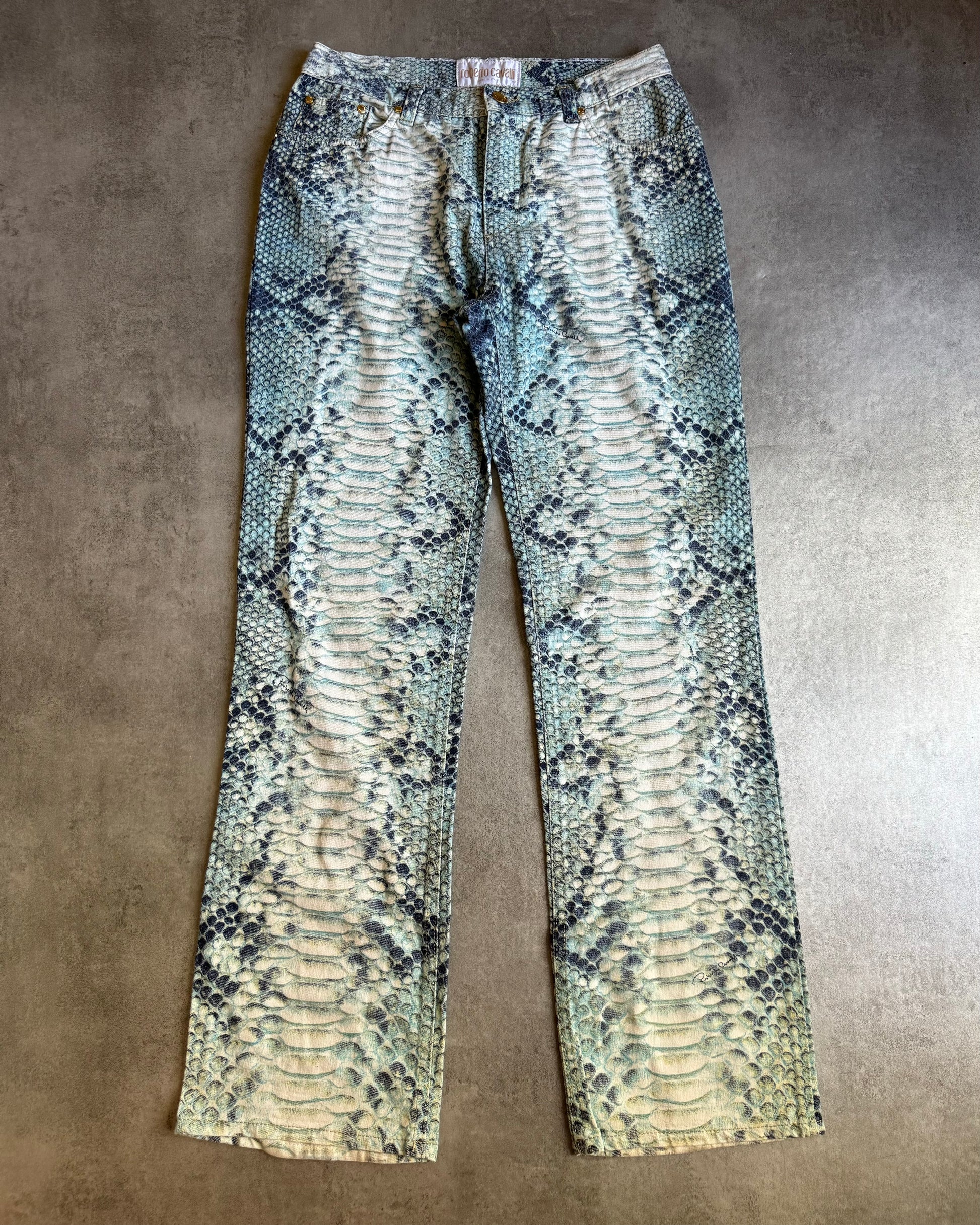 AW2002 Roberto Cavalli Aqua Scales Python Effect Pants  (S) - 4