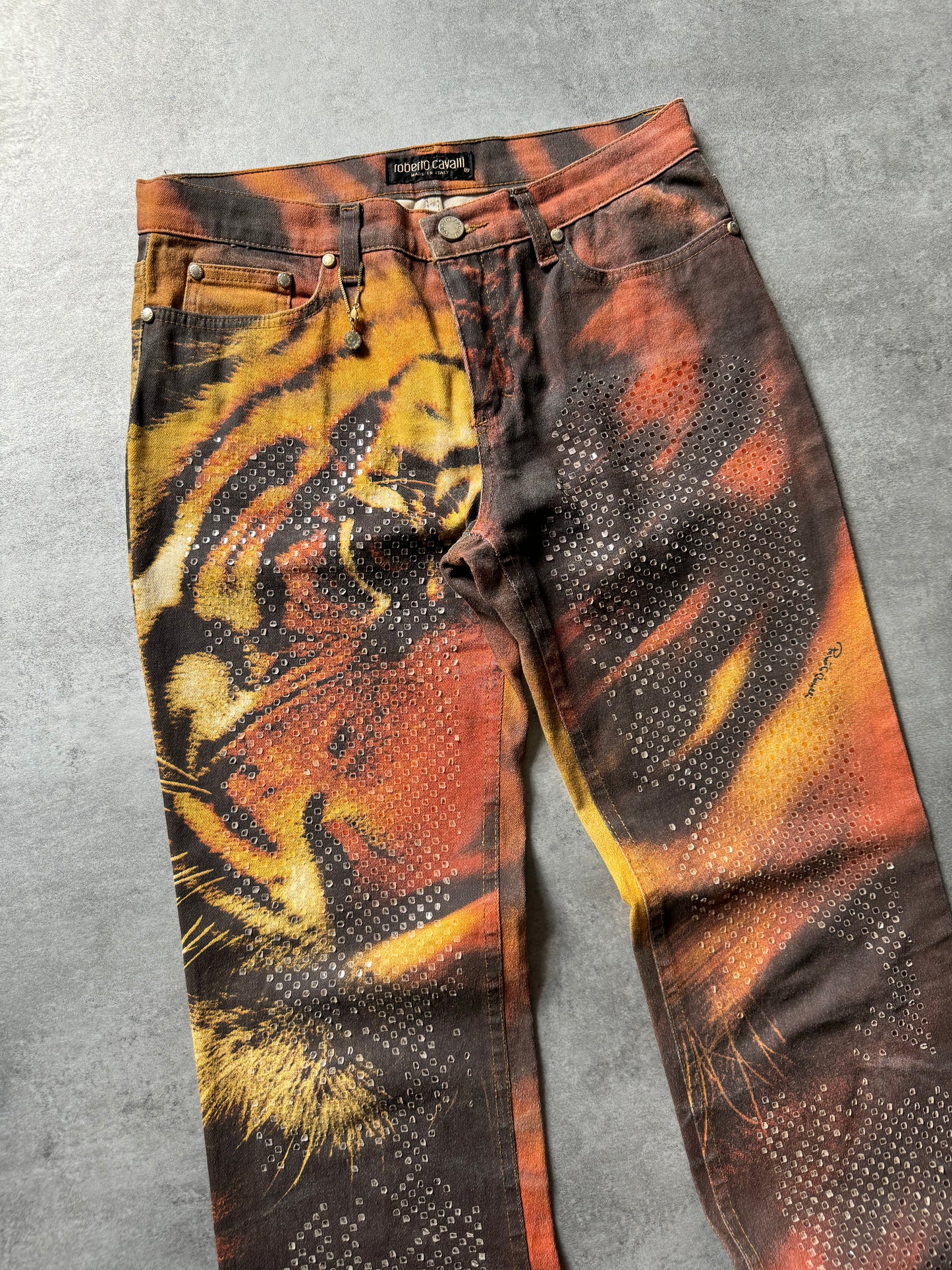 FW2000 Roberto Cavalli Savage Tiger Pants (S) - 5