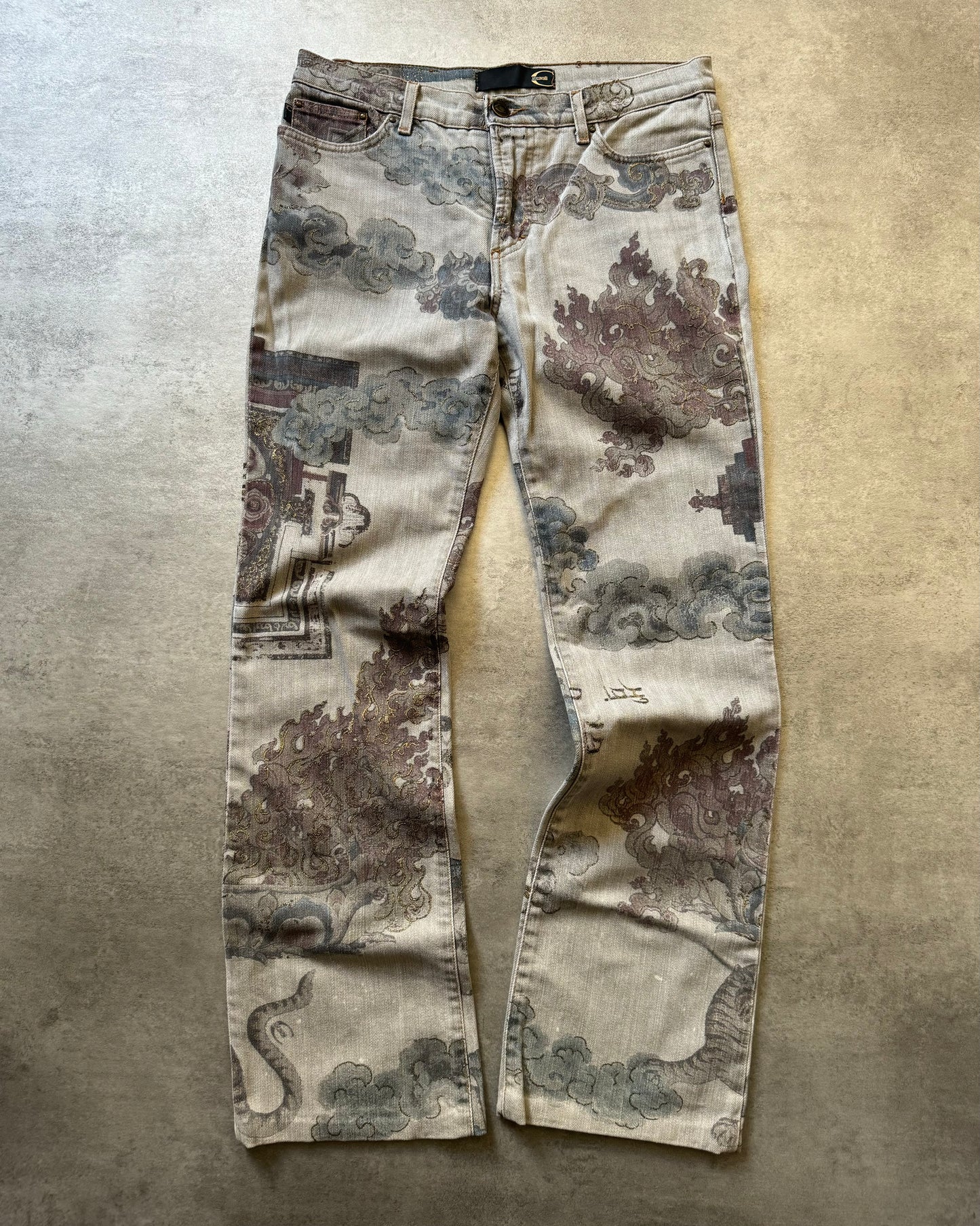 AW2003 Cavalli Asian World Grey Pants  (XS) - 1