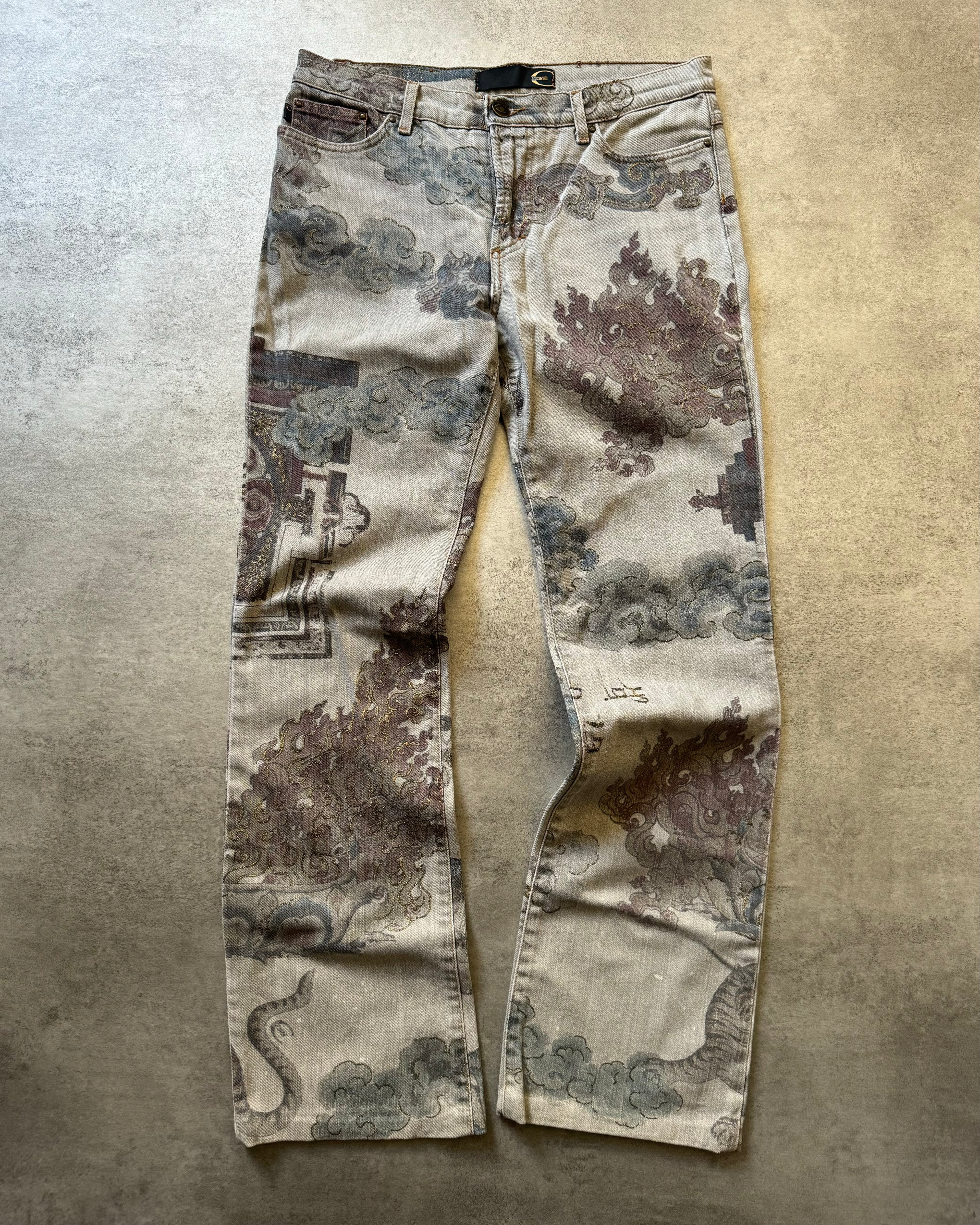 AW2003 Cavalli Asian World Grey Pants  (XS) - 1