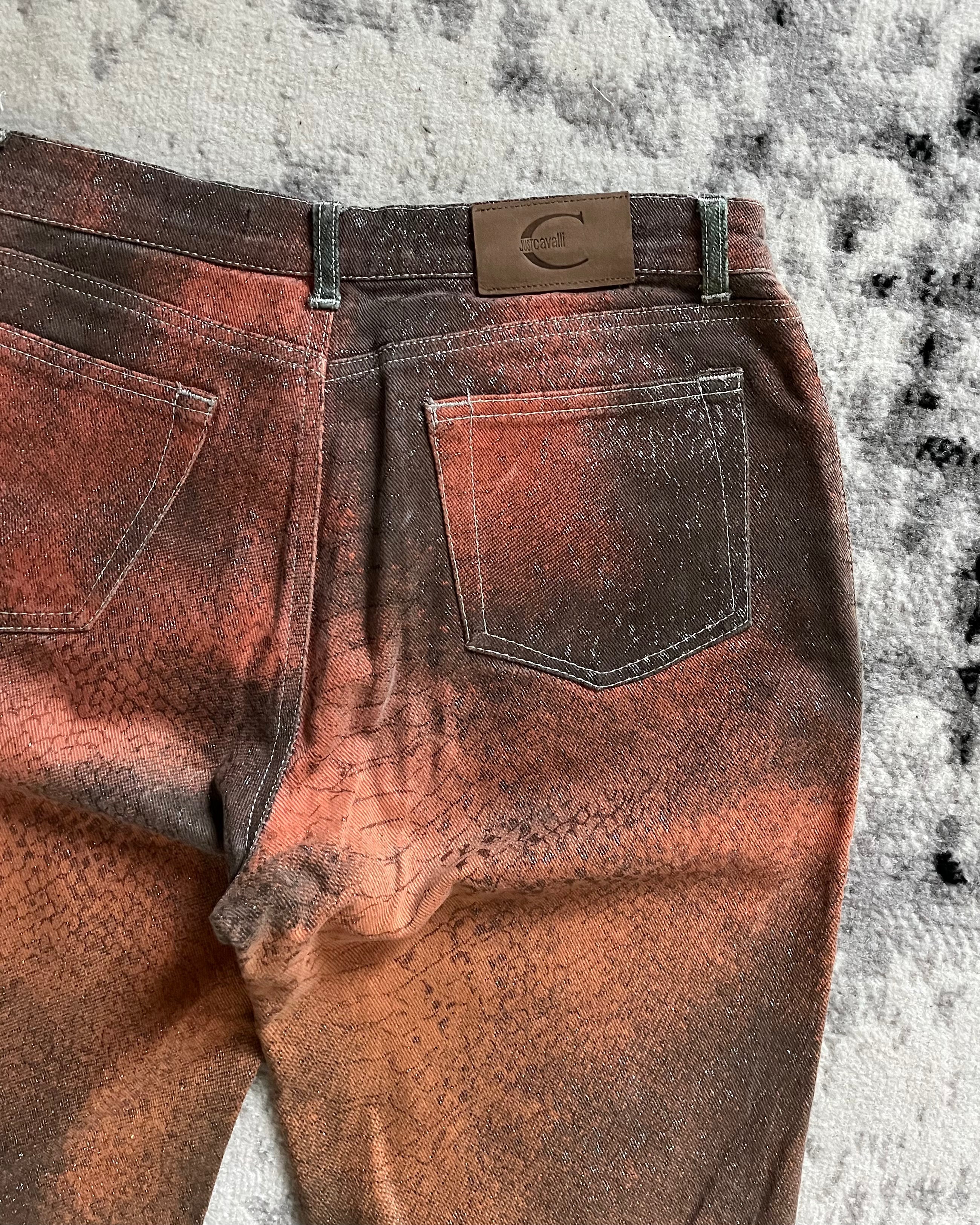 2000s Cavalli Seductive Ombre Multicolored Pants