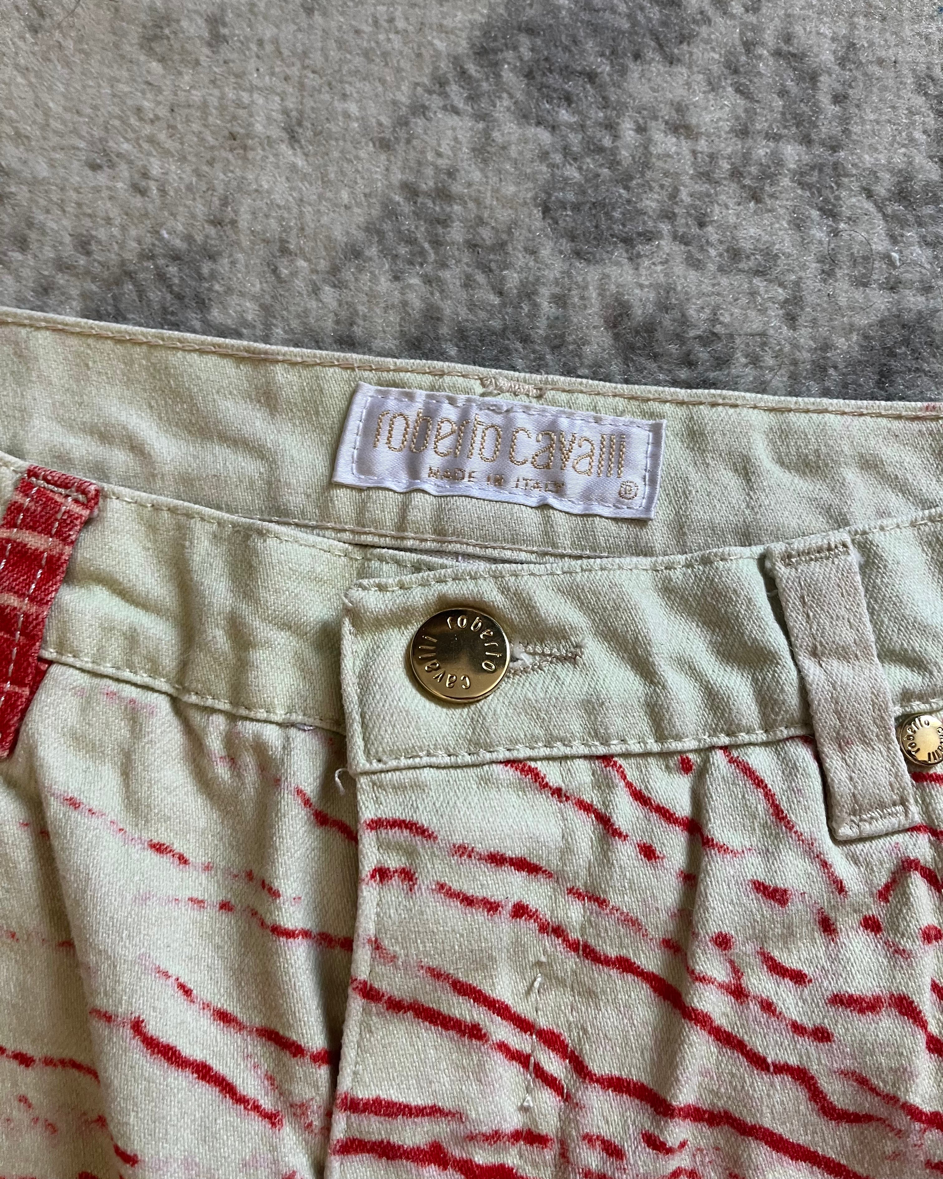 1995 Roberto Cavalli Lanificio Diform Stripes Pants