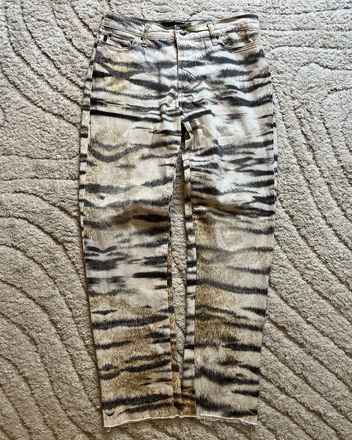 AW2005 Cavalli 斑马纹混合长裤 (S) 