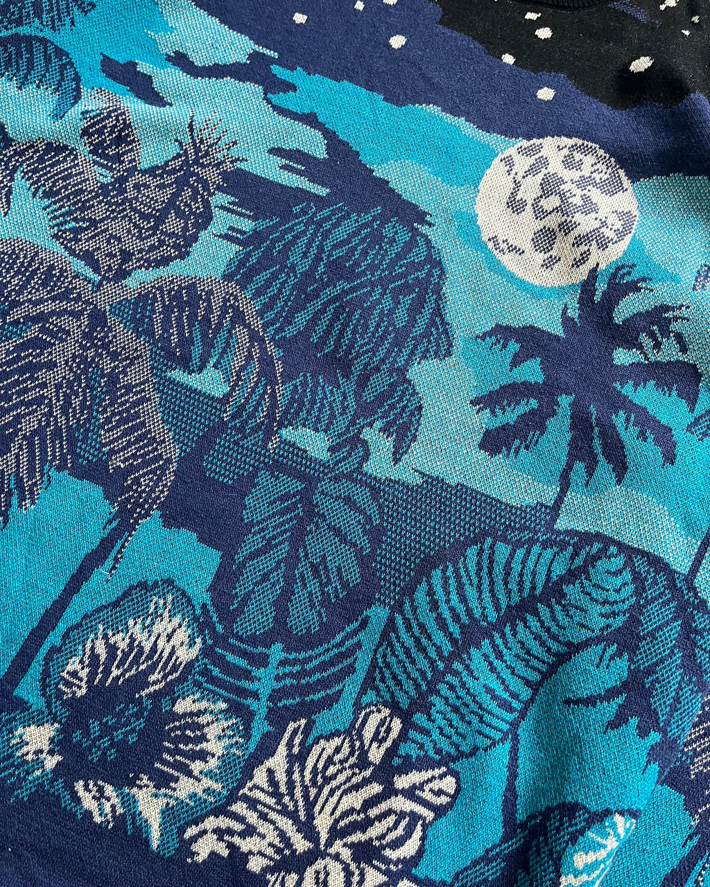 SS22 Dries Van Noten Prototype Blue Nature Atmosphere Sweater (M/L)