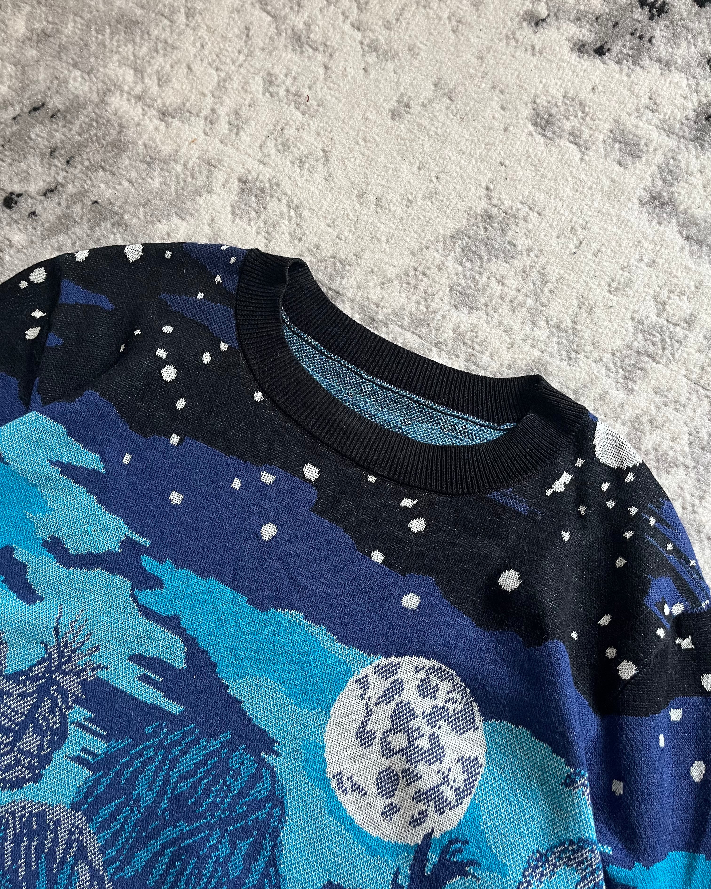 SS22 Dries Van Noten Prototype Blue Nature Atmosphere Sweater (M/L)