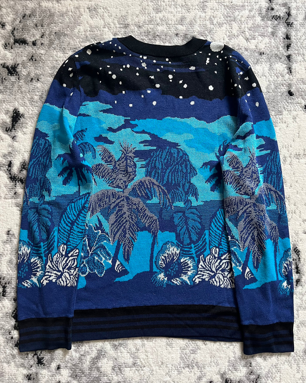 SS22 Dries Van Noten Prototype Blue Nature Atmosphere Sweater (M/L)