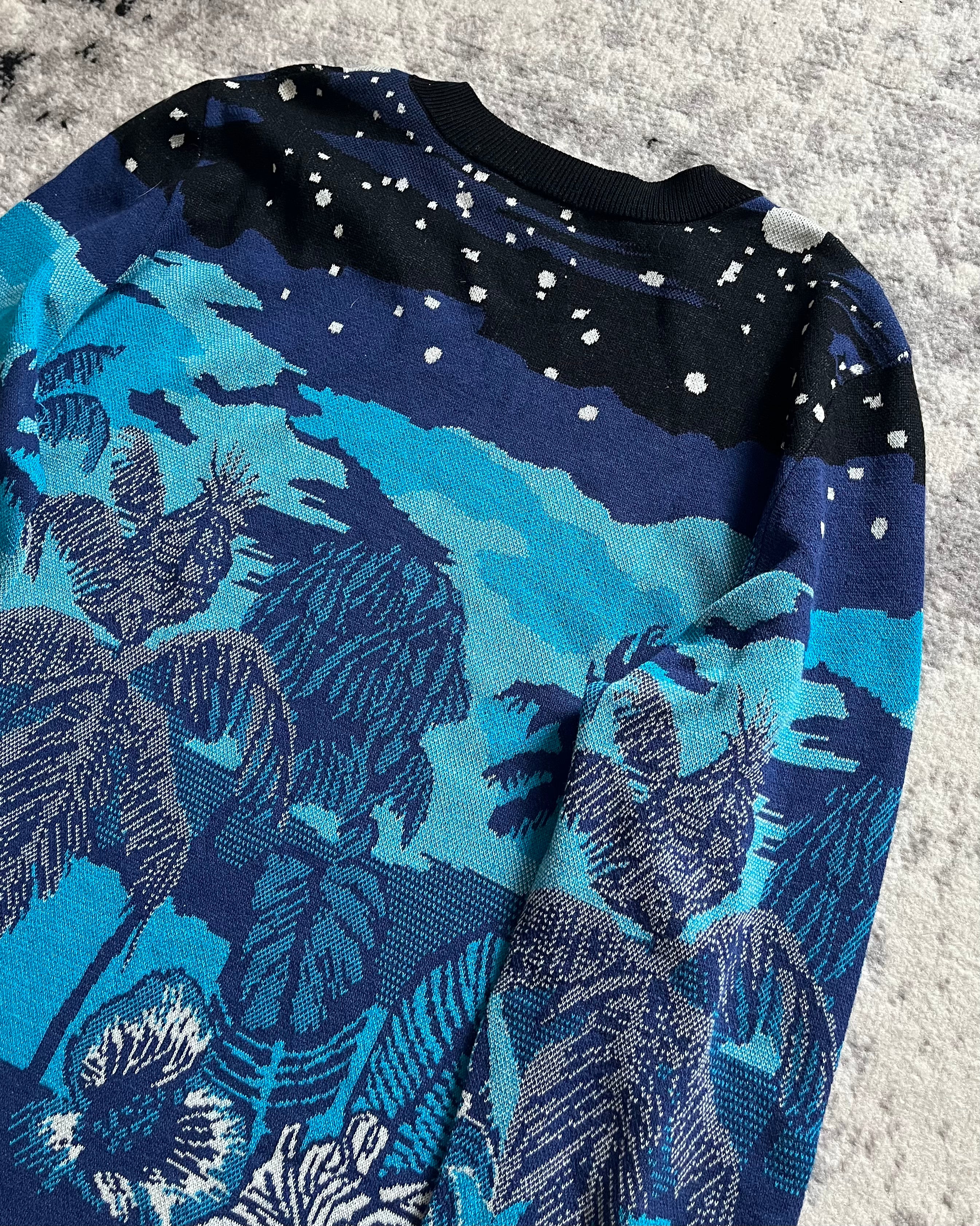 SS22 Dries Van Noten Prototype Blue Nature Atmosphere Sweater (M/L)