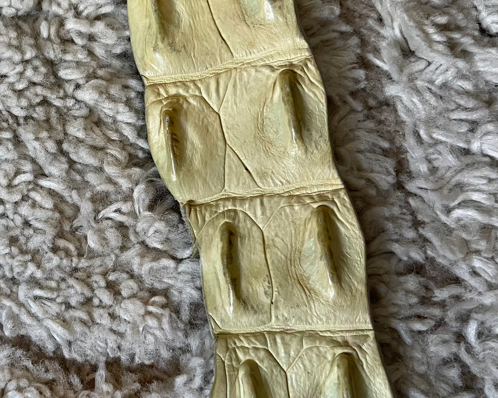 Roberto Cavalli リアルクロコダイルレザーベルト