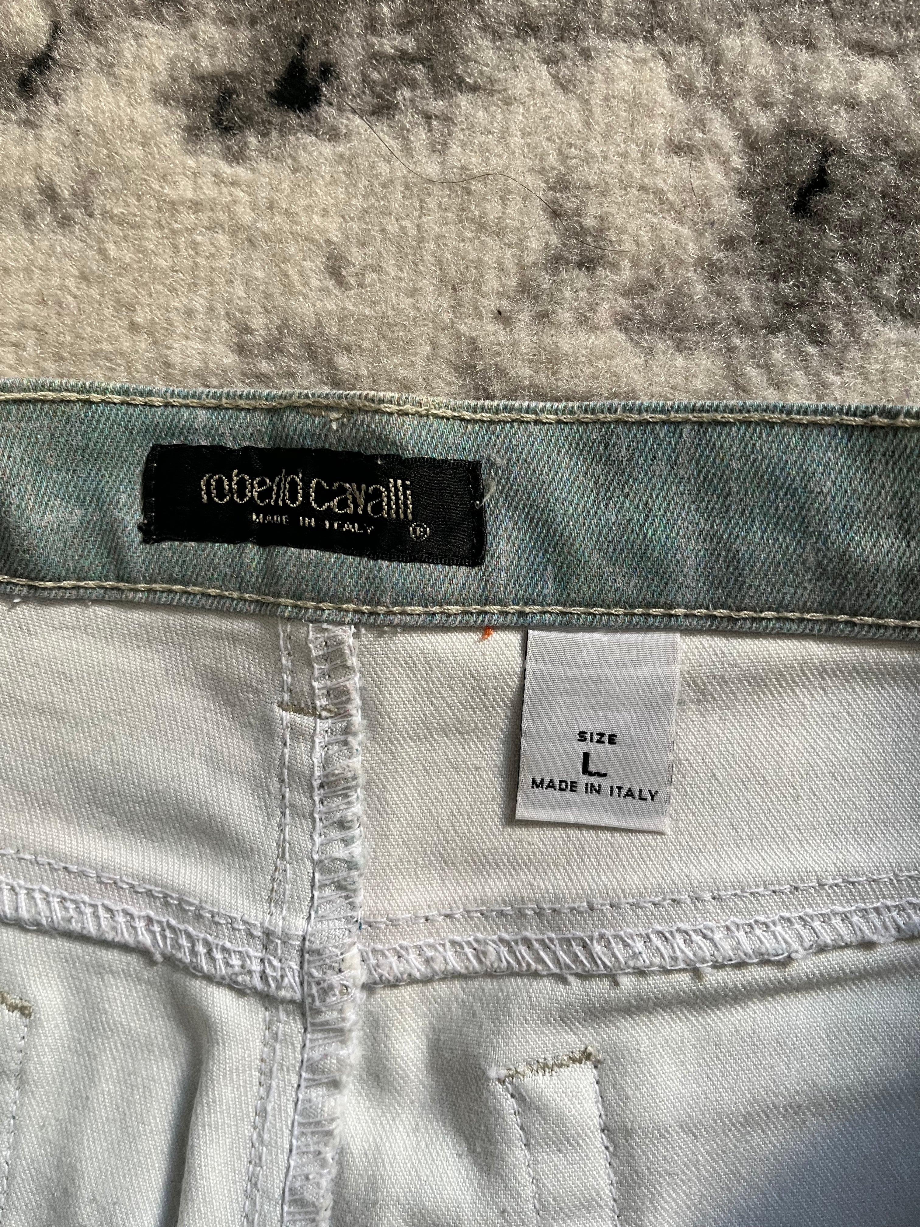 AW94 Roberto Cavalli Venus Art Print Angel Renaissance (L)