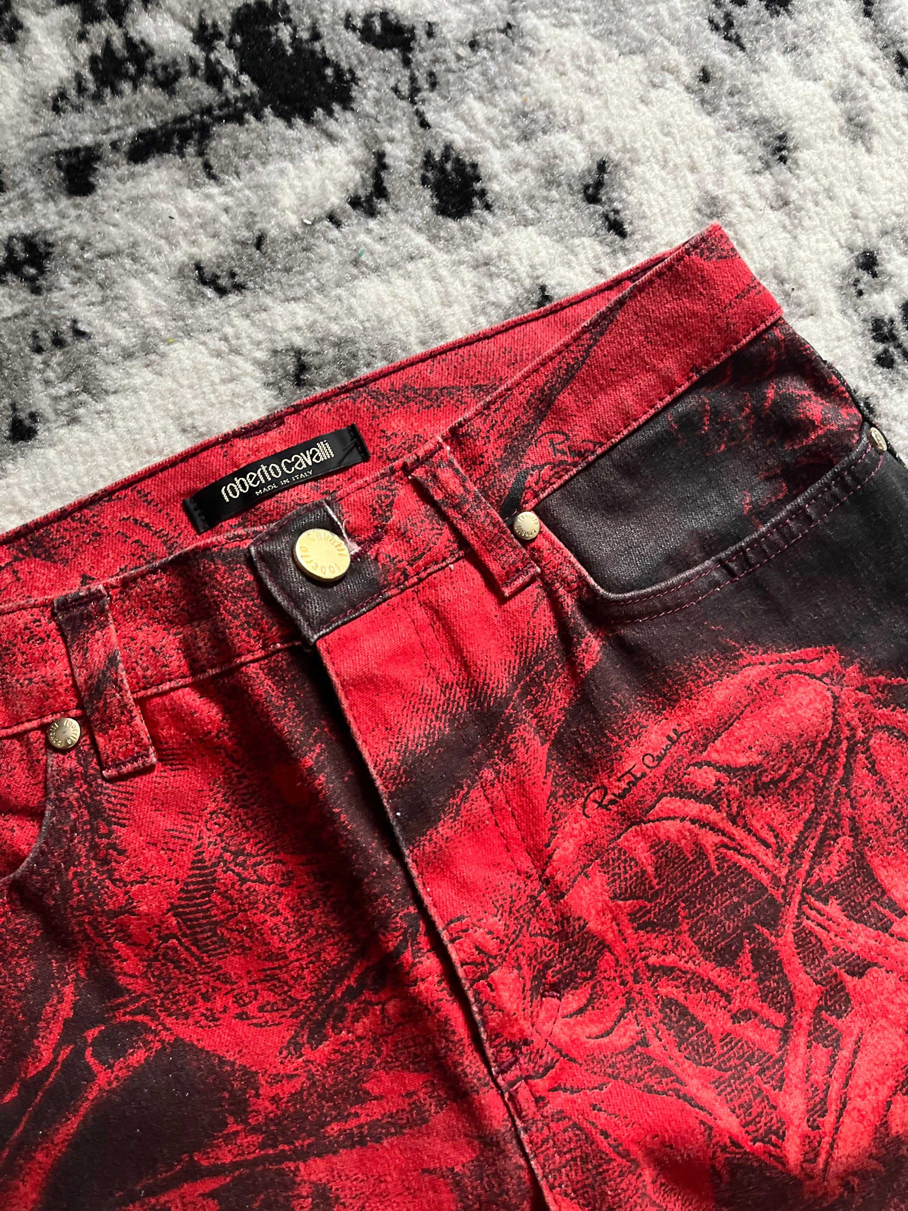 90s Roberto Cavalli Devil Spell Pants (XS)