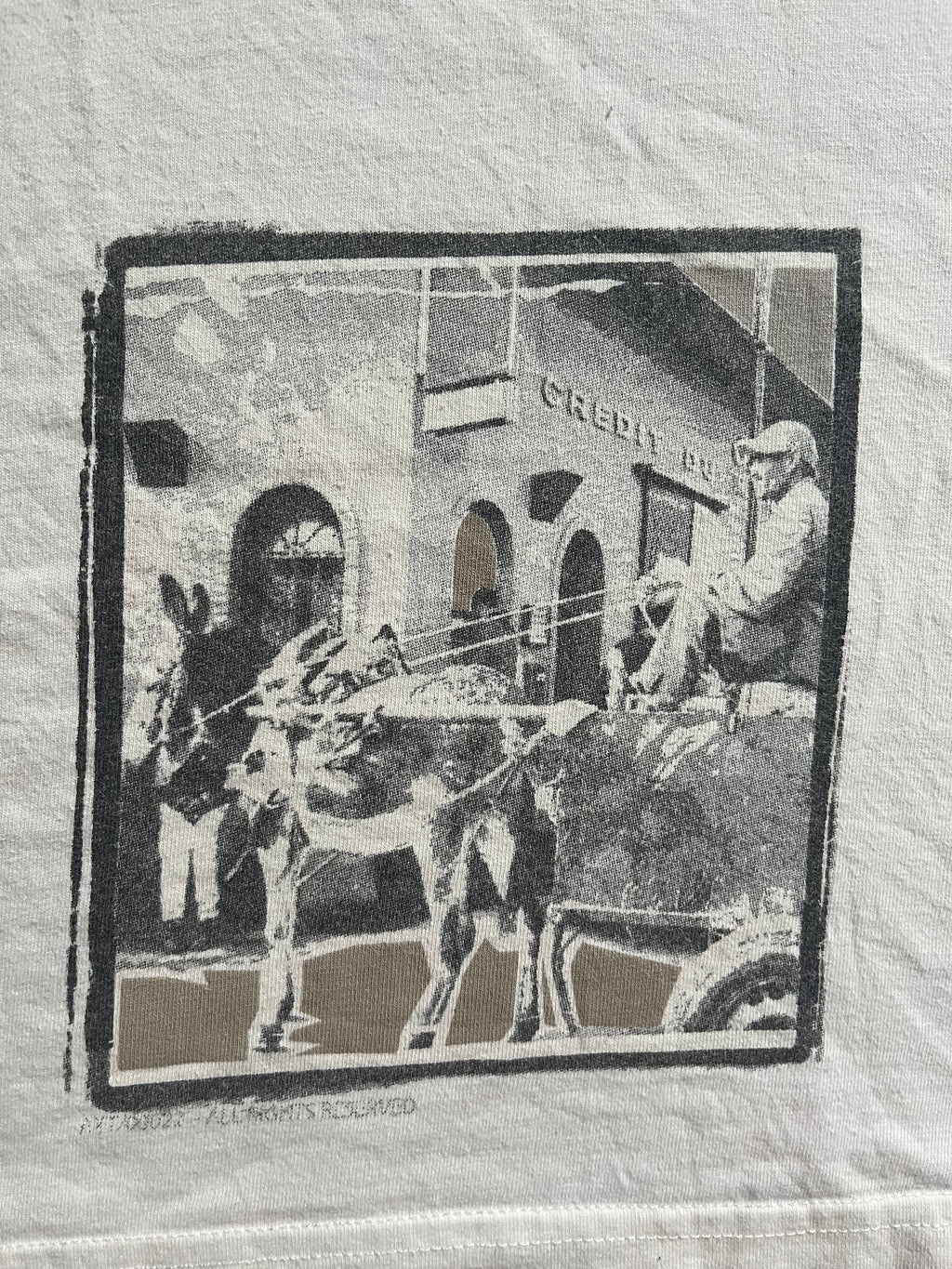 90s Dolce & Gabbana Punk "Report From Nature" Tank Top (XS/S)