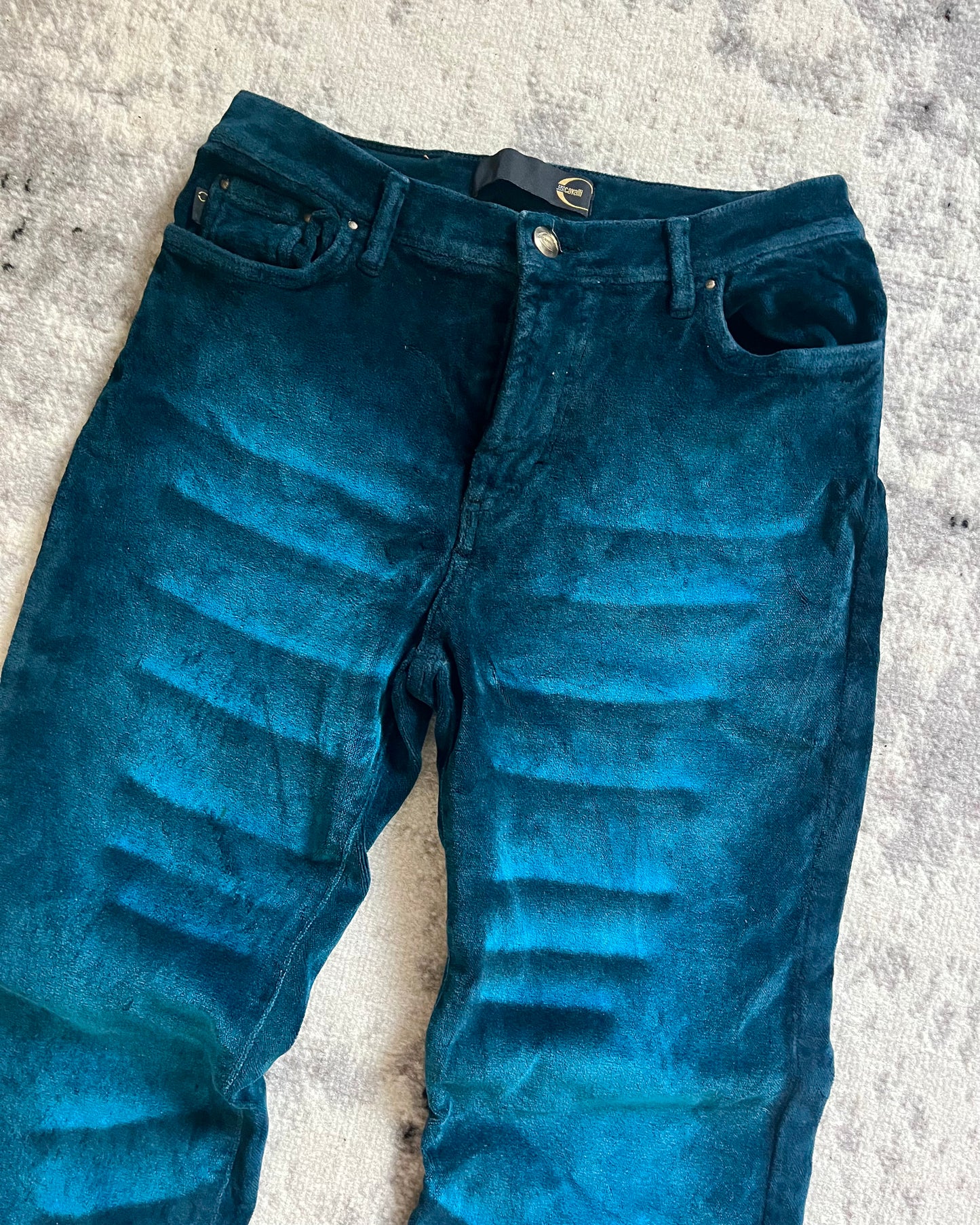 00s Cavalli Blue Sapphire Splendor Velvet Pants (XS)