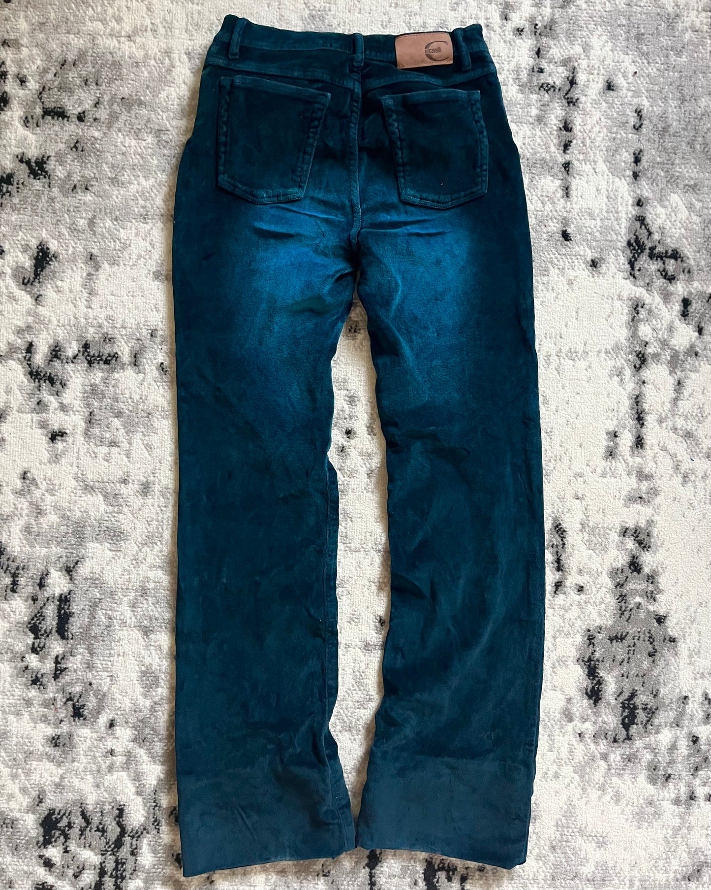 00s Cavalli Blue Sapphire Splendor Velvet Pants (XS)