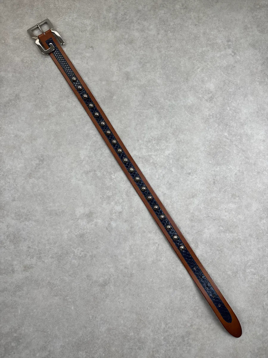 2000s Dolce & Gabbana Brown Leather Blue Python StuddedBelt KqVRaVka 8