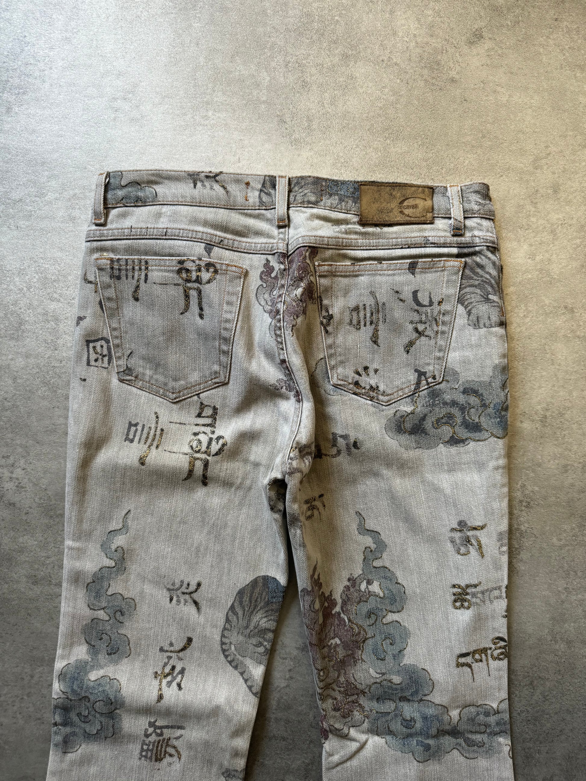AW2003 Cavalli Asian World Grey Pants  (XS) - 5