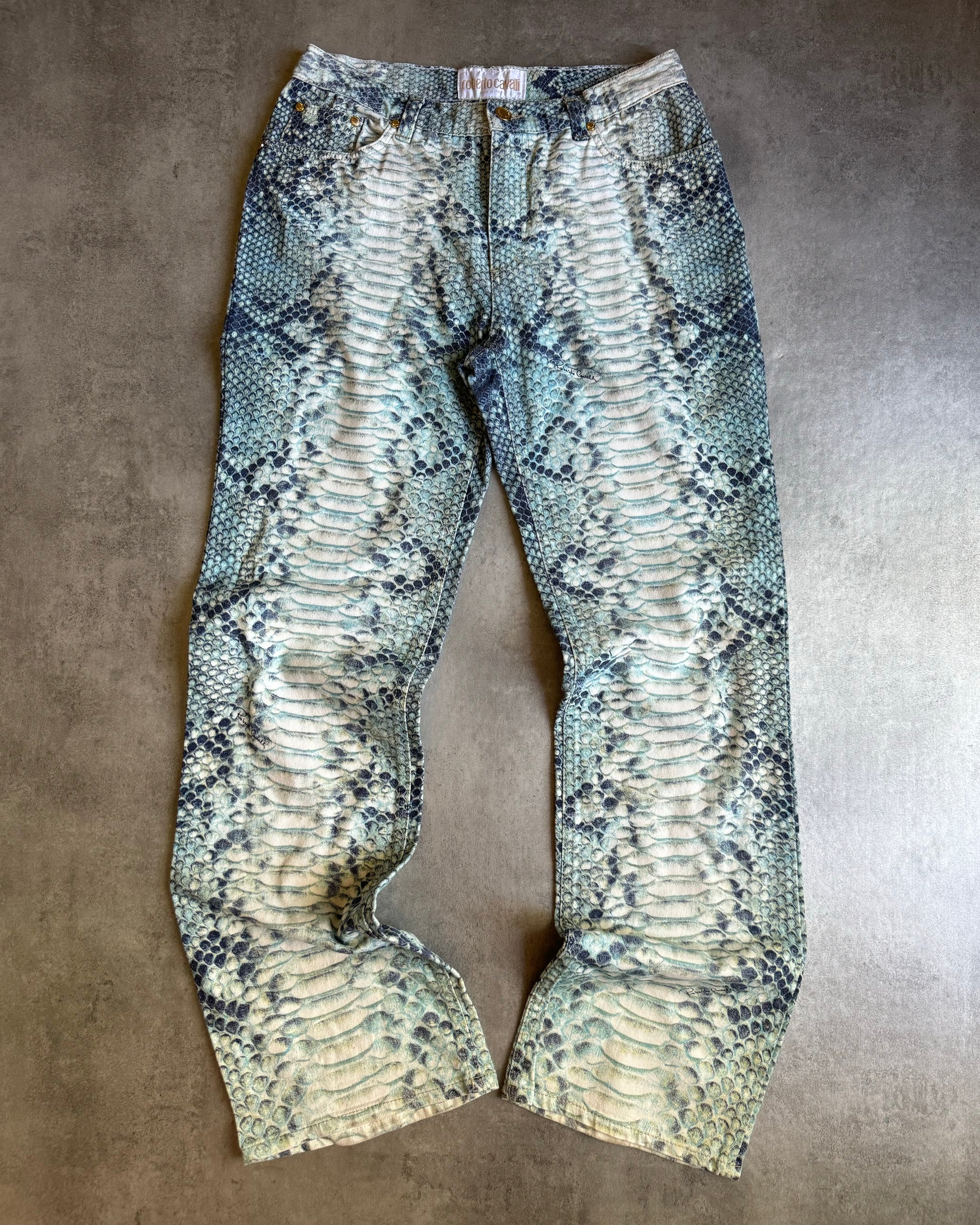 AW2002 Roberto Cavalli Aqua Scales Python Effect Pants  (S) - 1