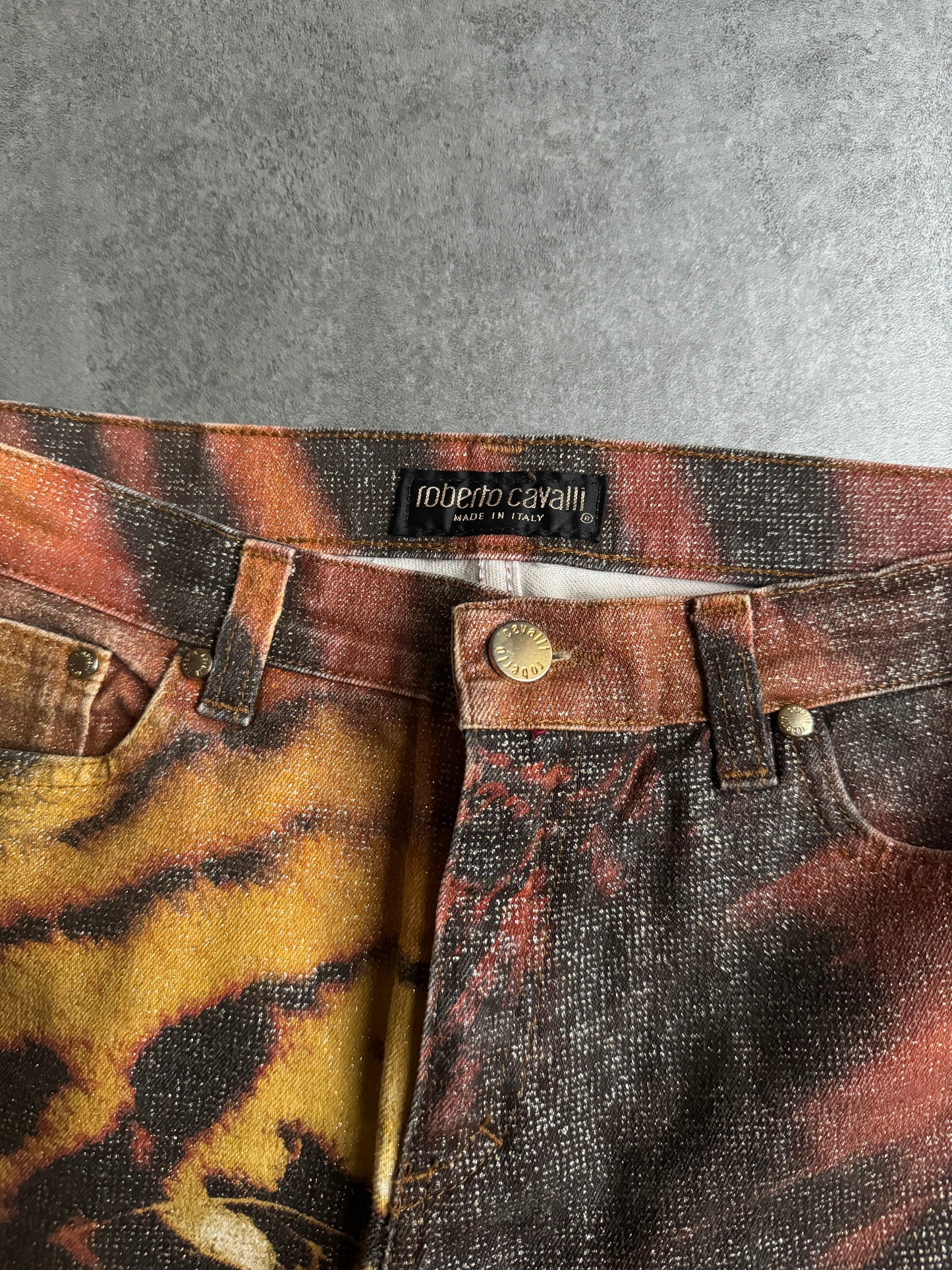 FW2000 Roberto Cavalli Savage Tiger Pants (S) - 5