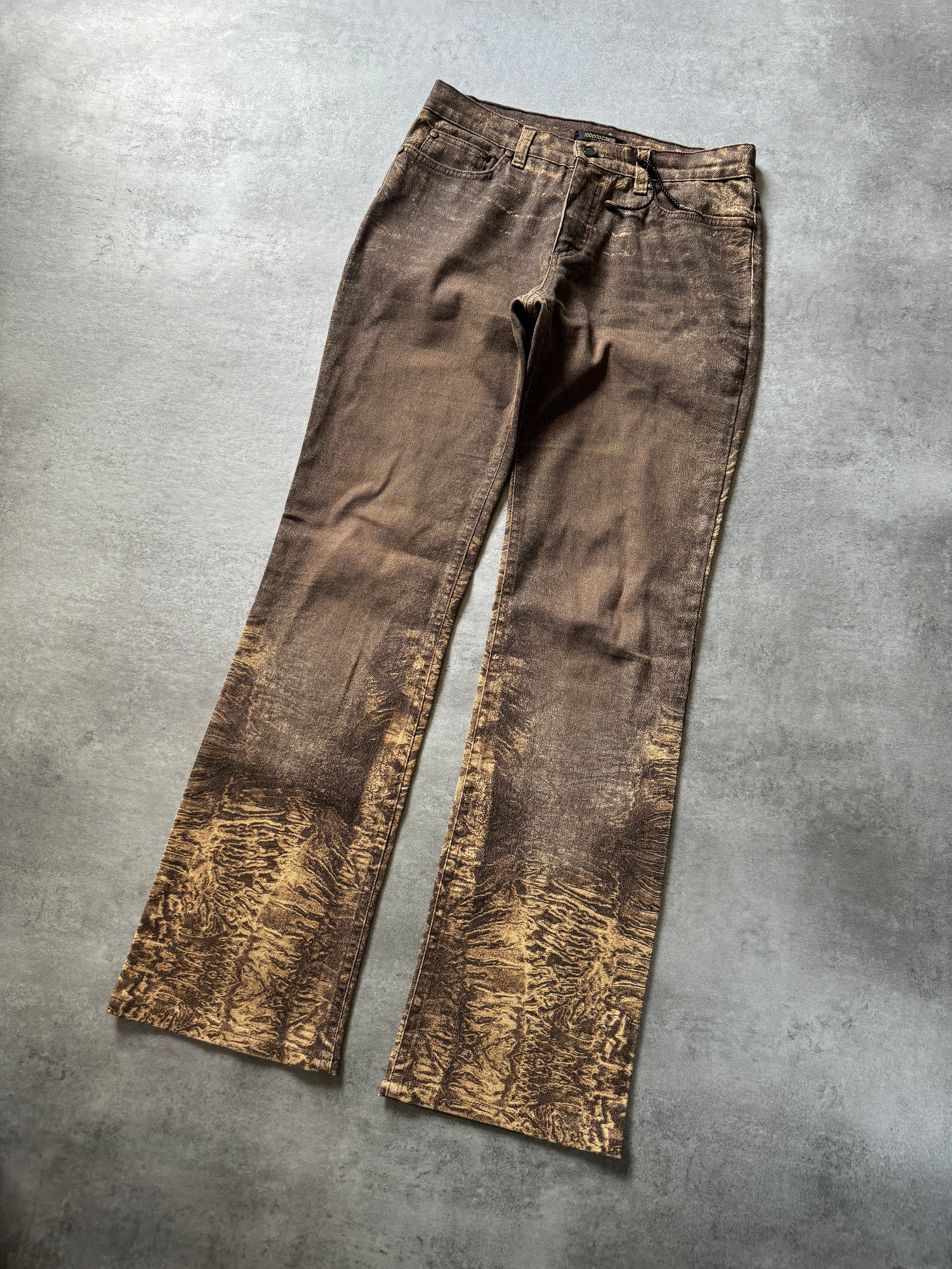 2000s Roberto Cavalli Arabic Brown Sand Erosion Pants (S) - 10