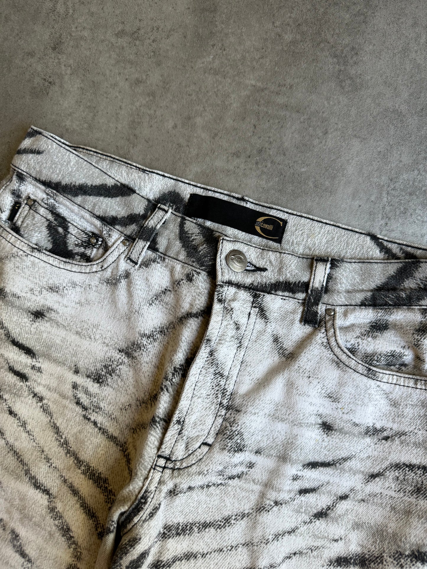 SS2002 Cavalli Zebra Savage Pants (XXS) - 6