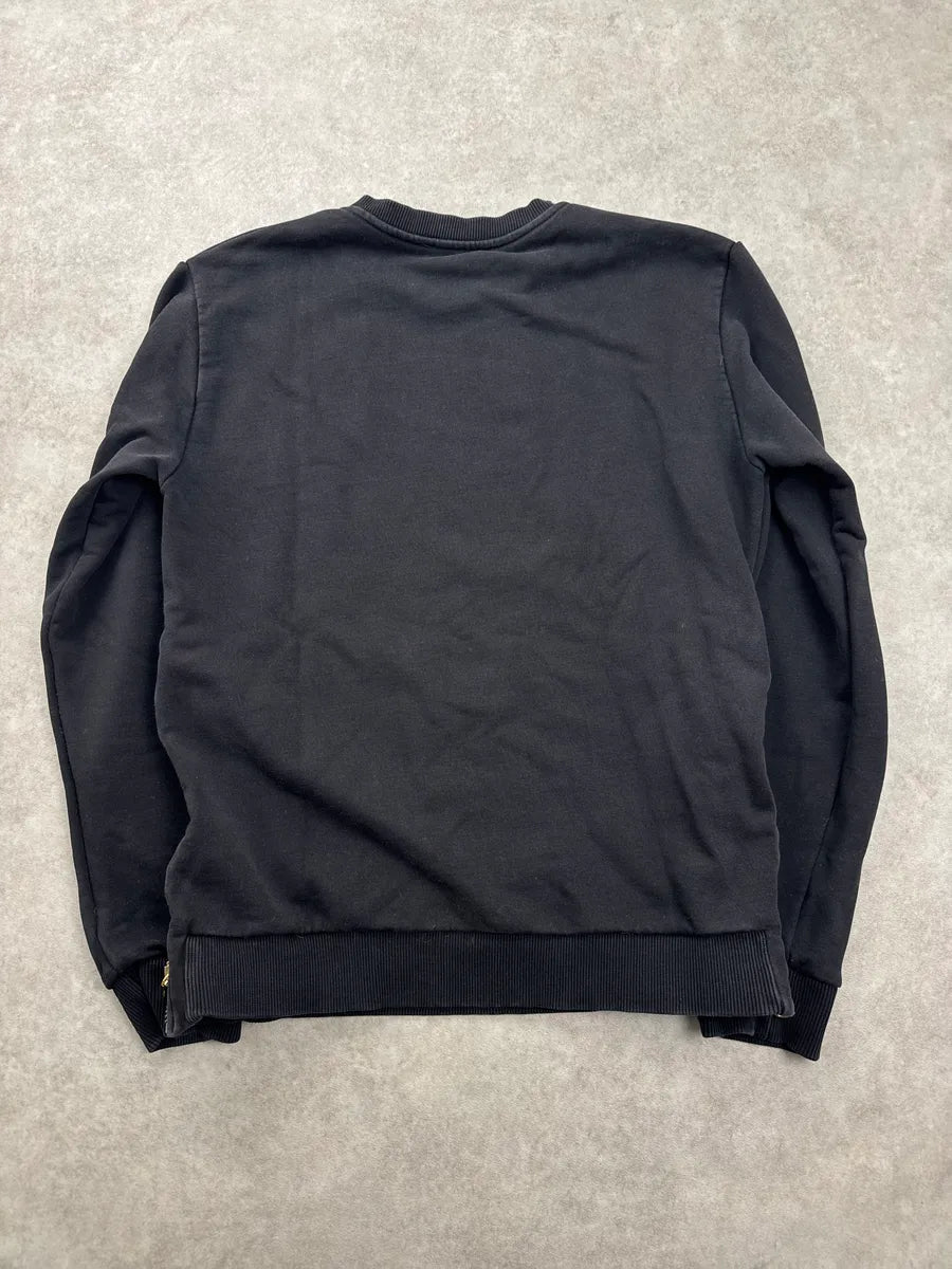 AW2017 Balmain Black Panther & Snake Graphic Sweatshirt VfPqwkPf 1