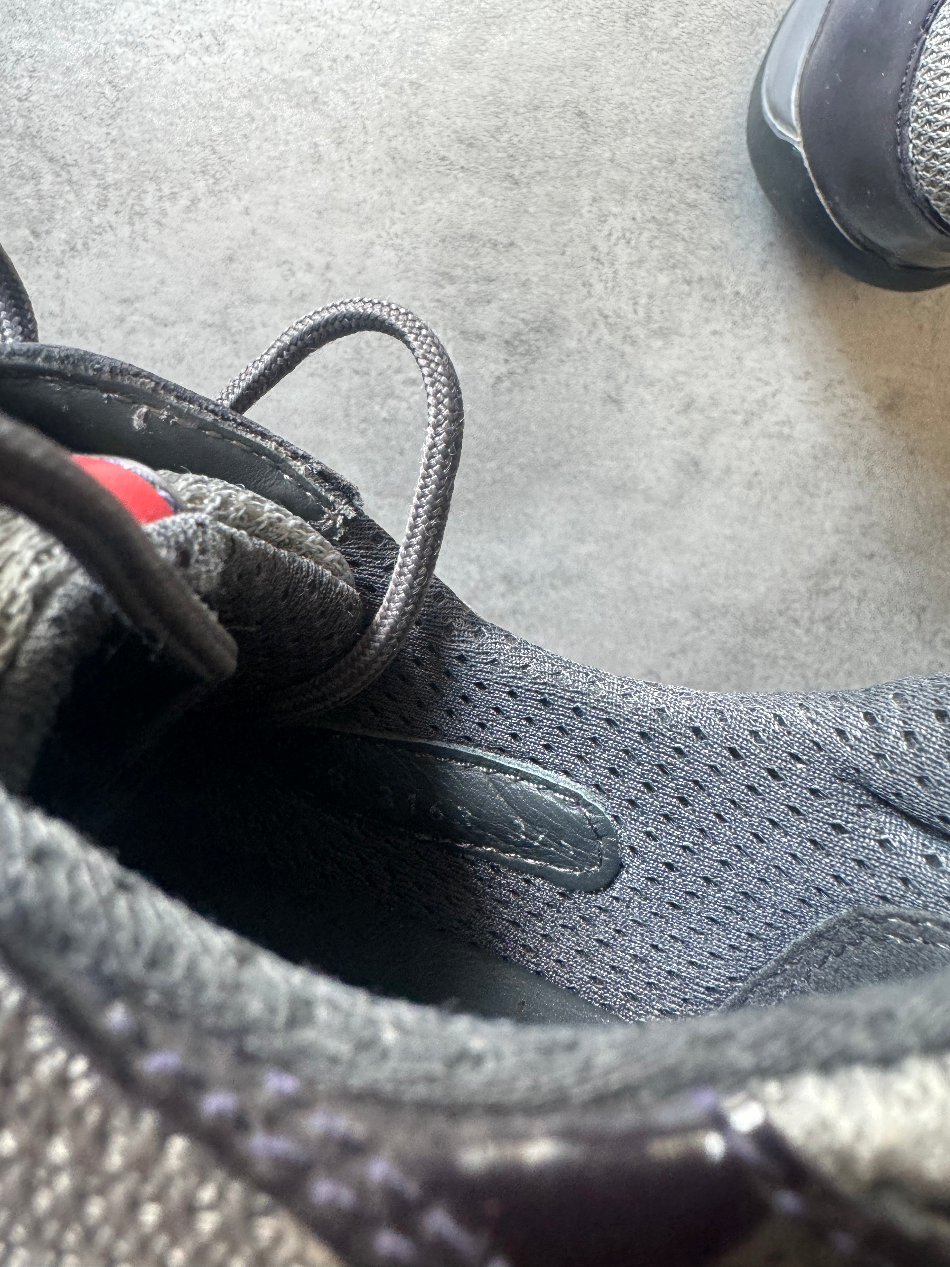 Prada America's Cup Purple Low (38,5) - 8