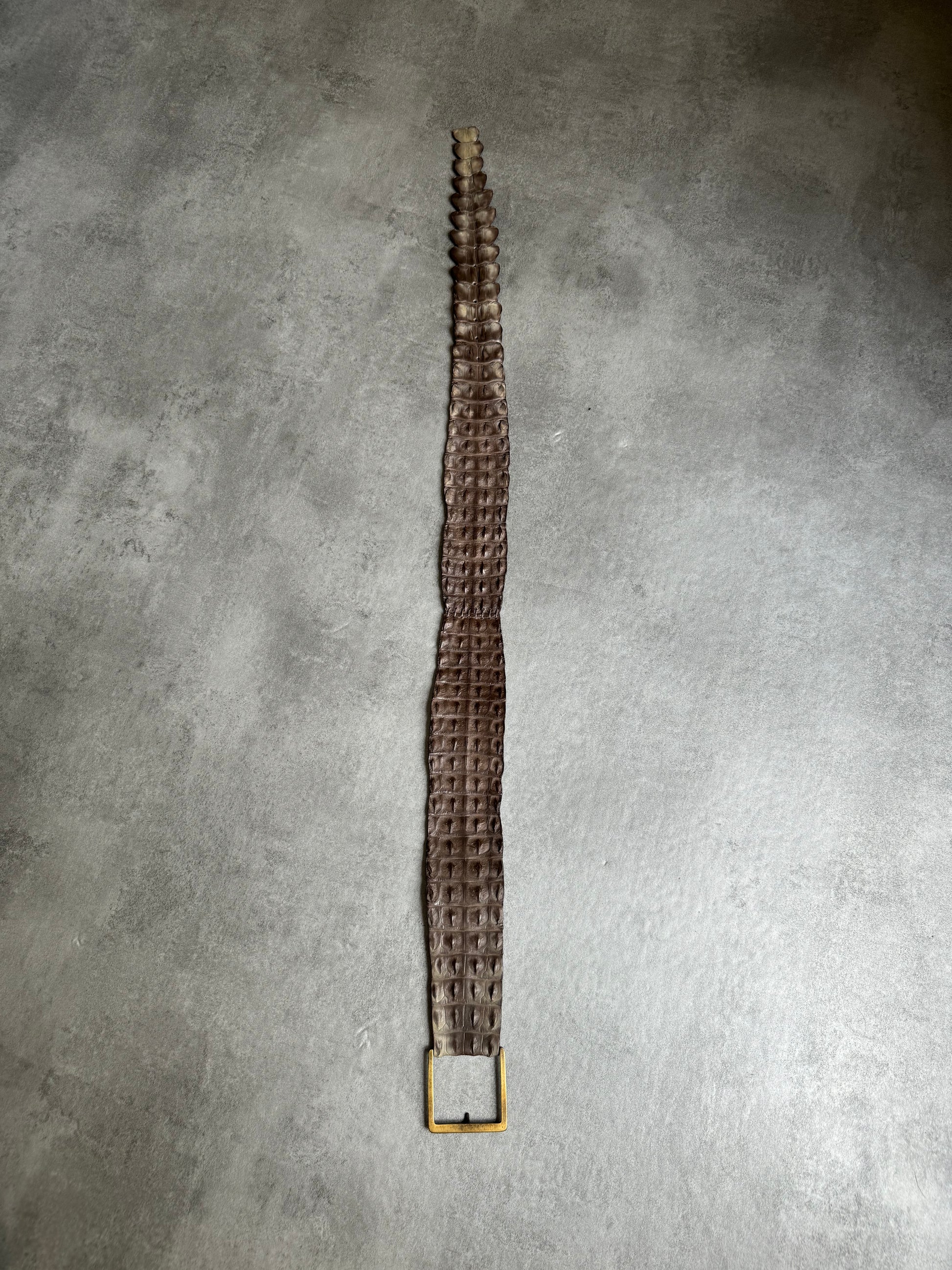 Scunzani Genuine Crocodile Leather Belt (OS) - 5