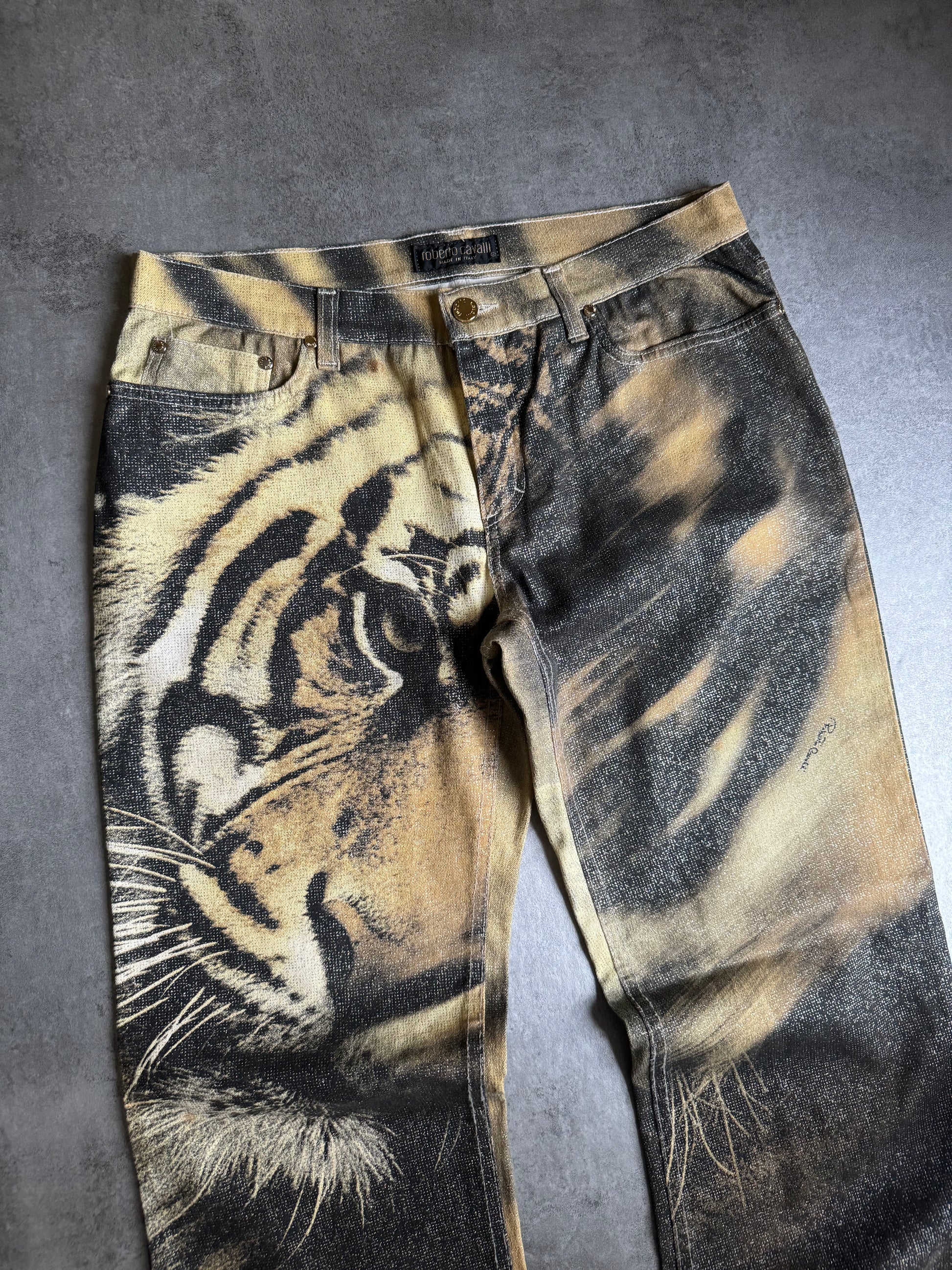 FW2000 Roberto Cavalli Tiger Savage Pants (M) - 6