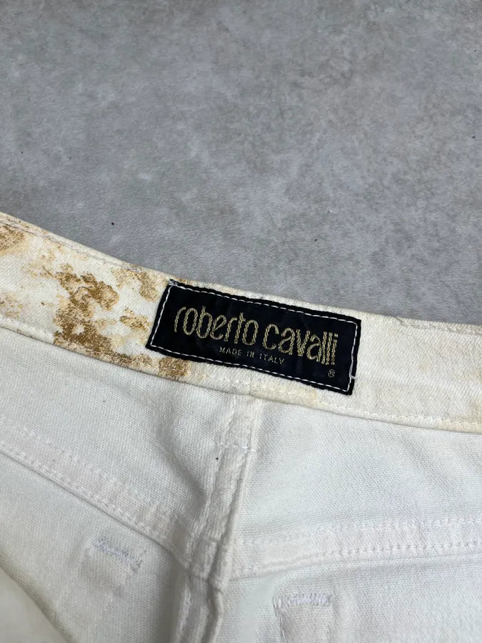 AW1994 Roberto Cavalli Sand Eroded Effect Beige Pants HELXzId 9