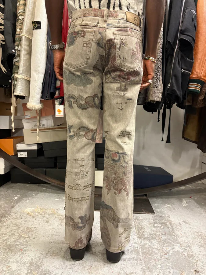 AW2003 Cavalli Asian World Fantasy Grey Denim Jeans RusTORD 3