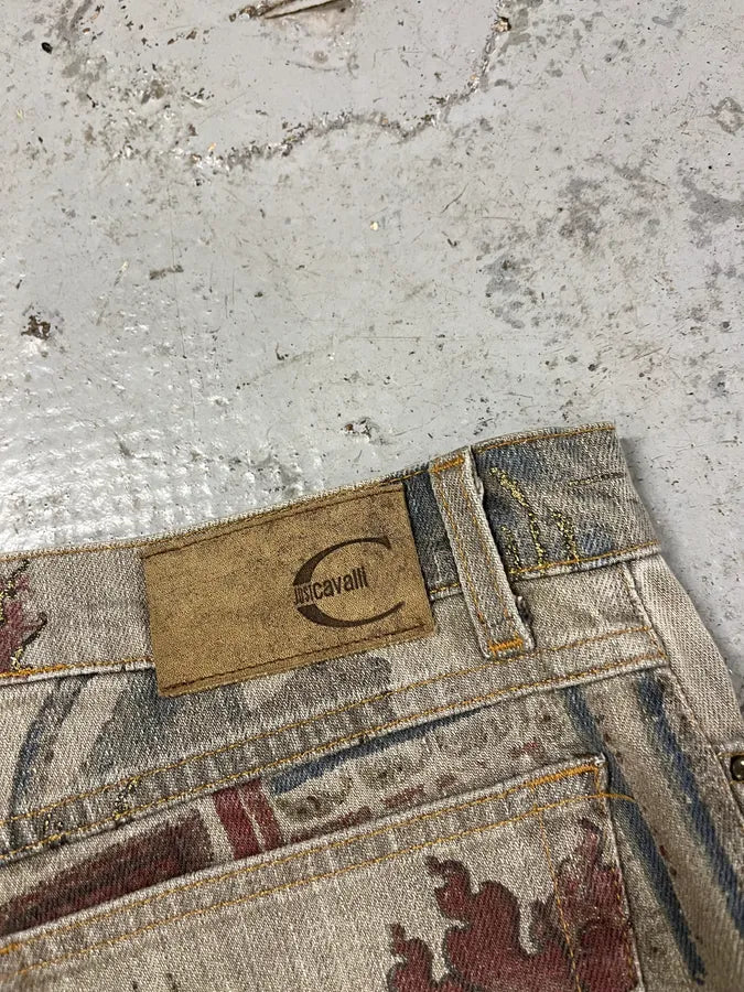 AW2003 Cavalli Asian World Fantasy Grey Denim Jeans RusTORD 9