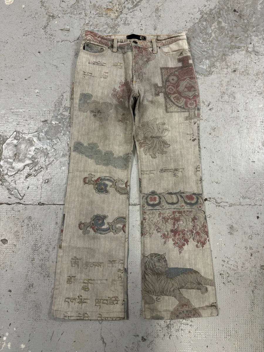 AW2003 Cavalli Grey Asian World Fantasy Denim Jeans uSPRImn 6