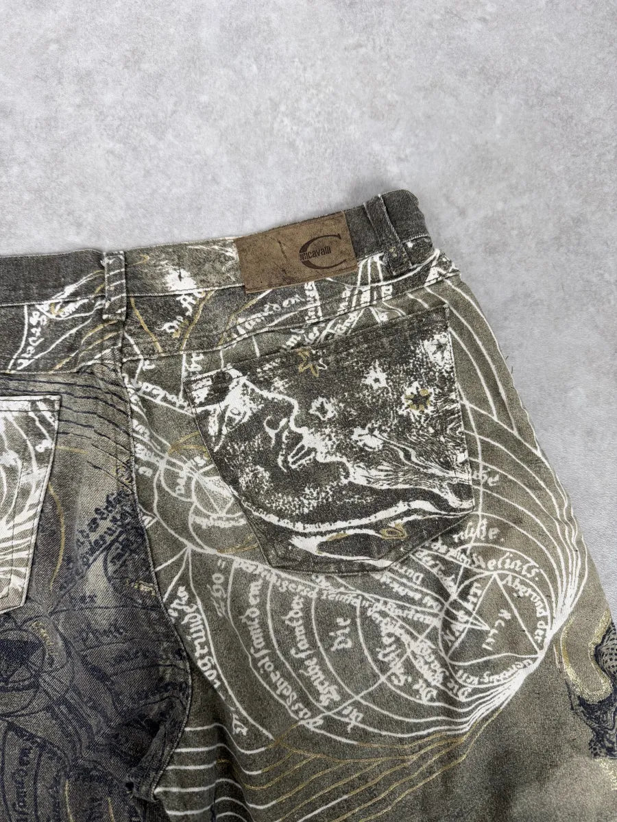 AW2003 Cavalli Olive Astro World Contemporary Pants fUqMJTm 5