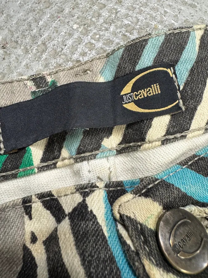 AW2004 Cavalli Grey Eagle Snake Battle Pants (XS/S) IlZWUdk 8