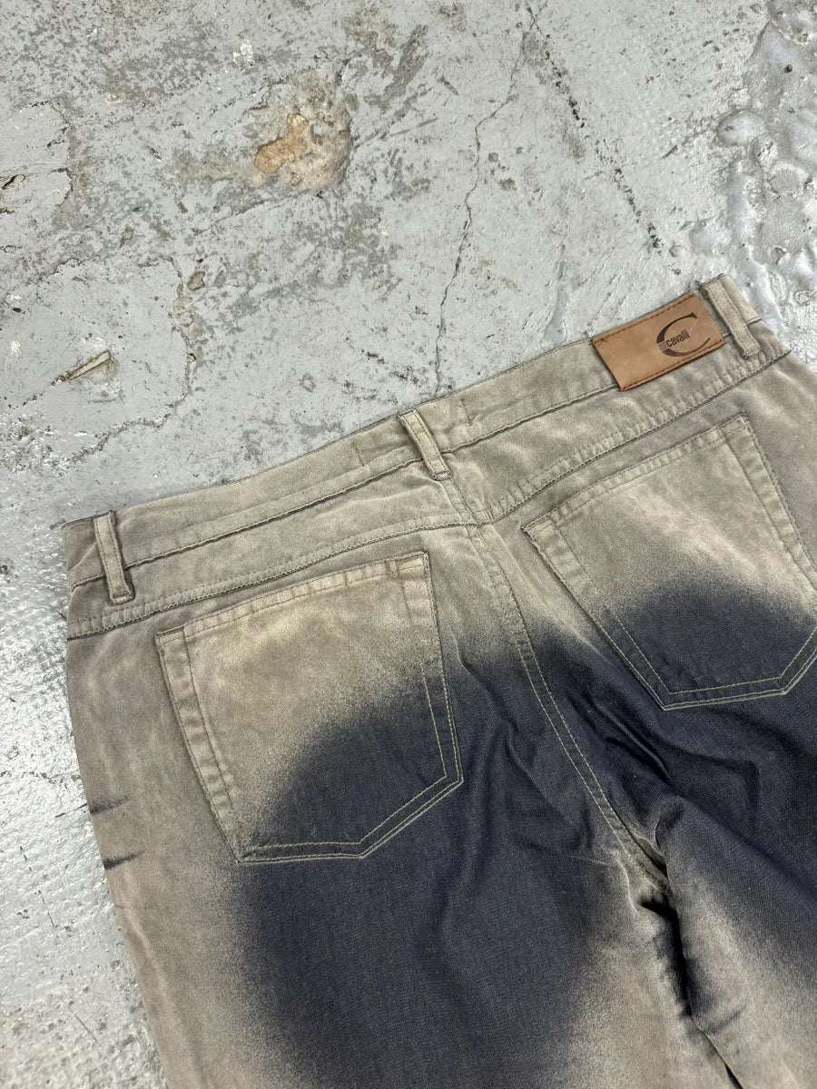 AW2004 Cavalli Overprint Grey Velvet Pants DlRHoaV 6