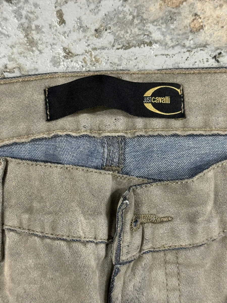 AW2004 Cavalli Overprint Grey Velvet Pants DlRHoaV 8