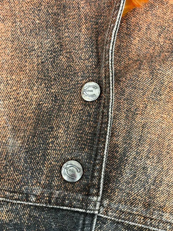 AW2004 Cavalli Sunset Long Fur Collar Jacket OSYjXdy 8