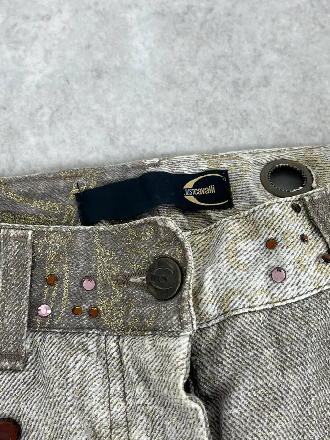 AW2006 Cavalli Grey Overprint Embellished Pants DeCDVkE 9