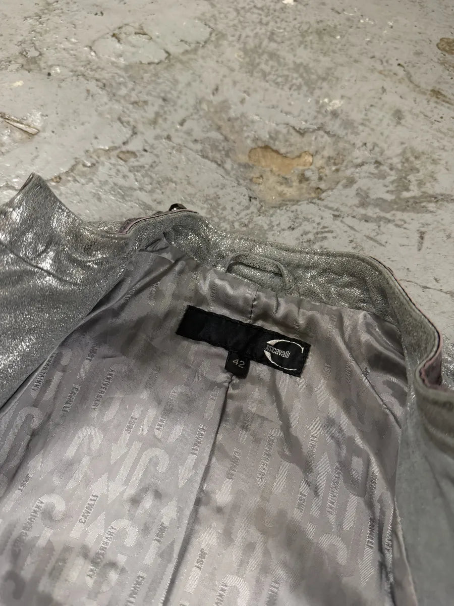 AW2010 Cavalli Grey Soldier Leather Studded Jacket dvMoUJo 10