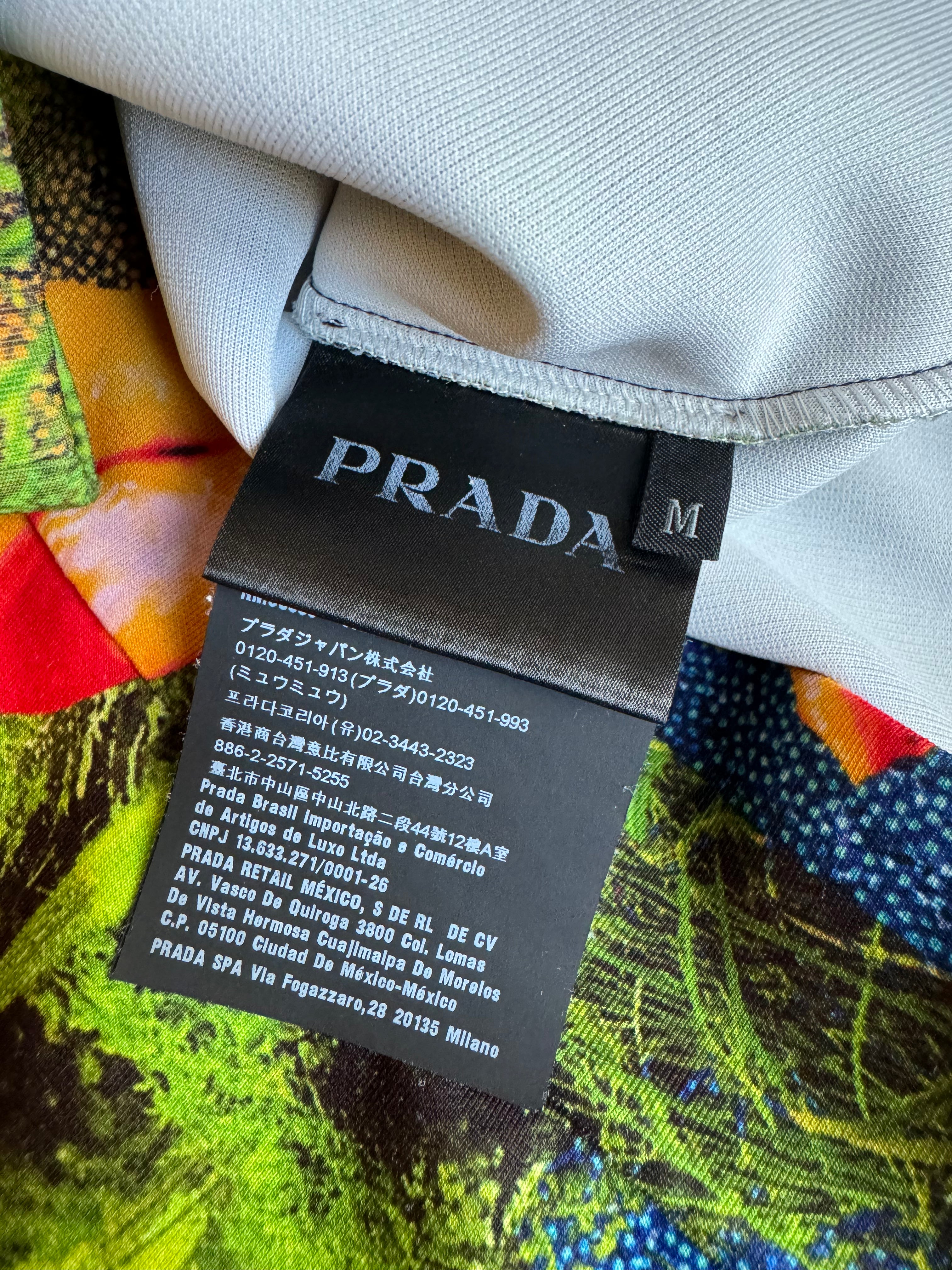 SS2019 Prada Psychadelic World Tech Hoodie (M) - 8