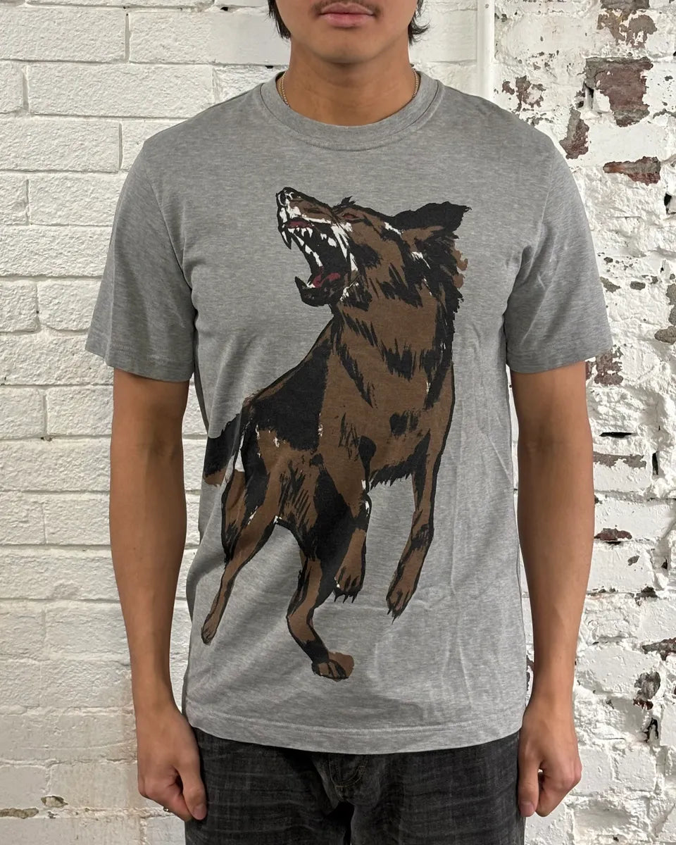 Balenciaga Grey Wolf Graphic T-Shirt SdDekMU 1