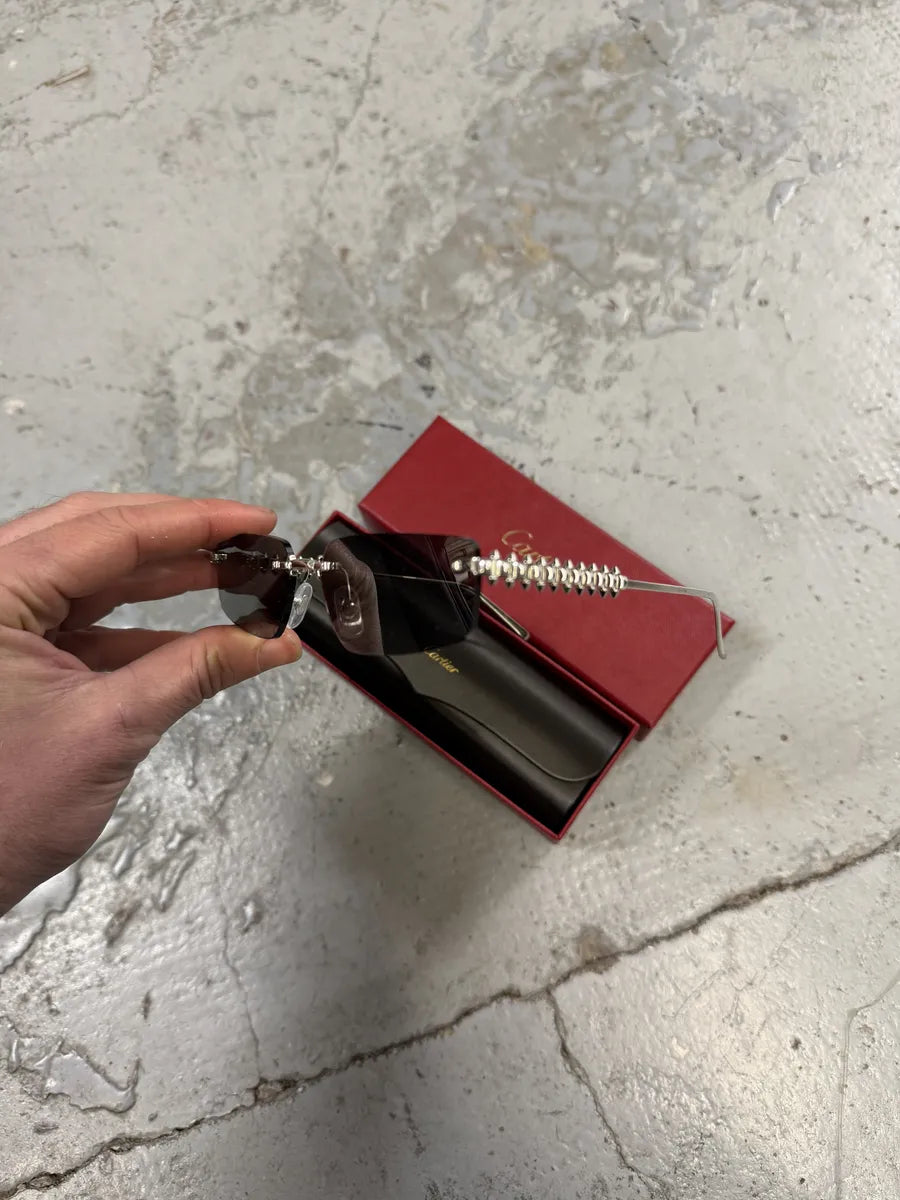 Cartier CT0544S 003 Shiny Platinum Silver Sunglasses svJPEit 5